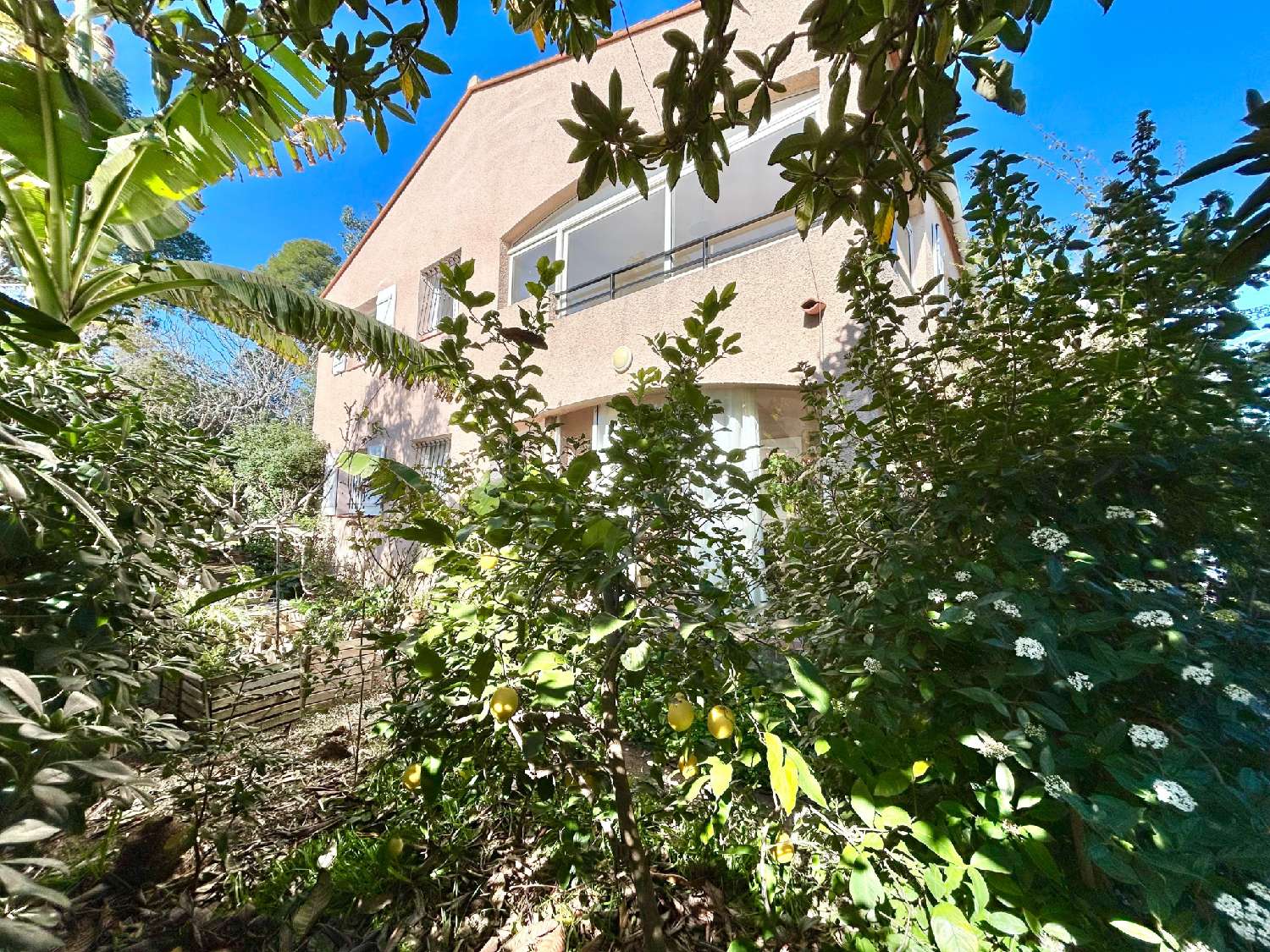  à vendre maison Perpignan 66100 Pyrénées-Orientales 4