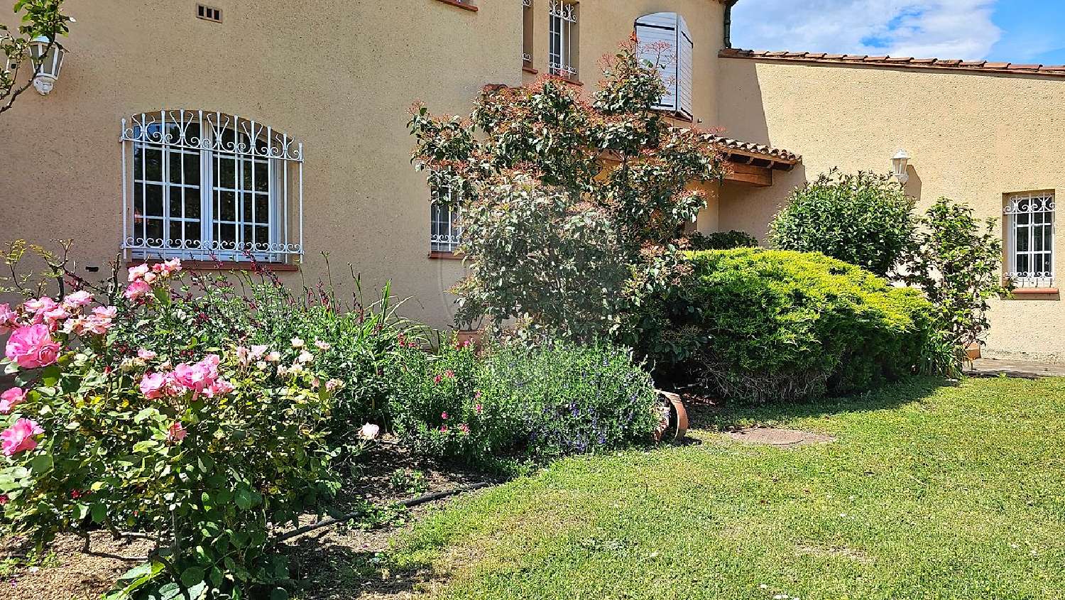 à vendre maison Perpignan Pyrénées-Orientales 8