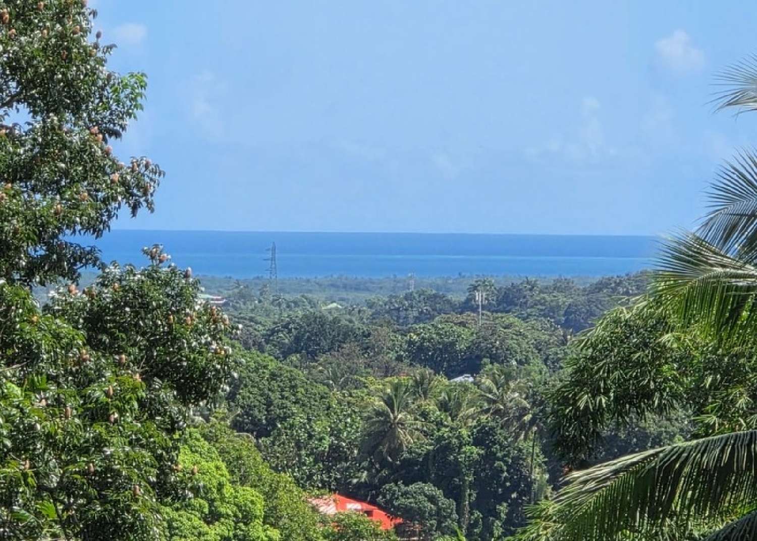  kaufen Haus Petit-Bourg Guadeloupe 1