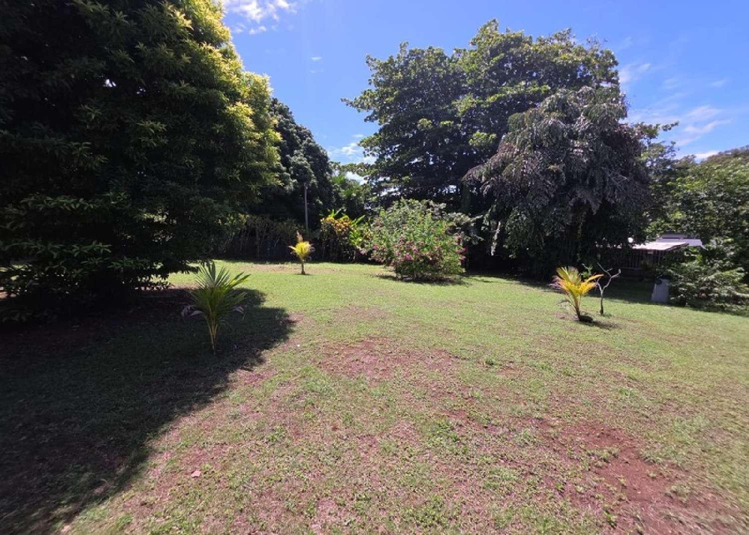 kaufen Haus Petit-Bourg Guadeloupe 5