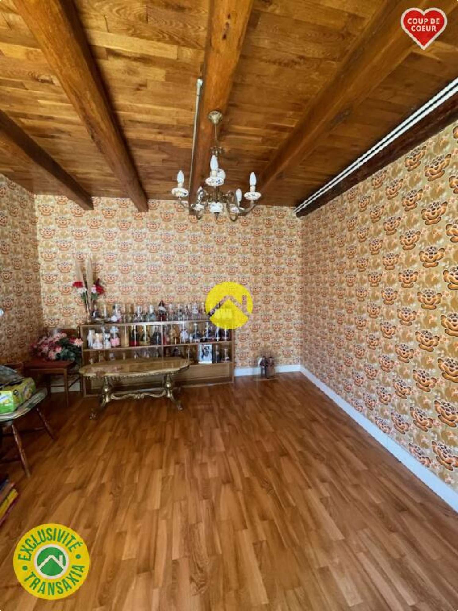 te koop huis Pierrefort Cantal 7