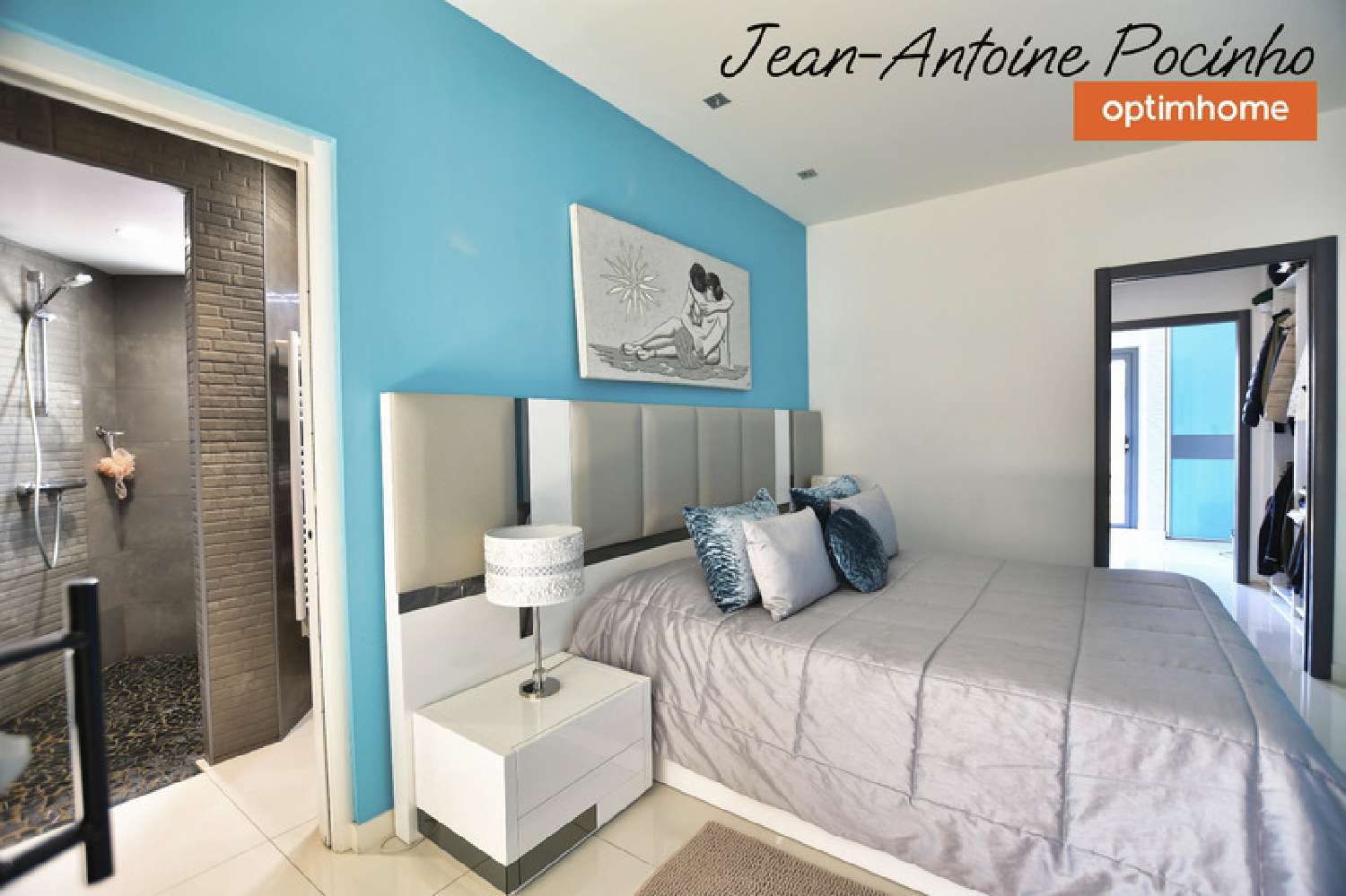  for sale house Plaisance-du-Touch Haute-Garonne 1