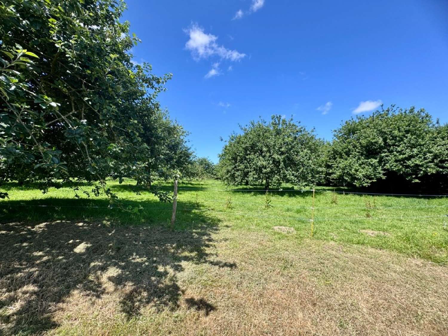 te koop huis Plouguin Finistère 4