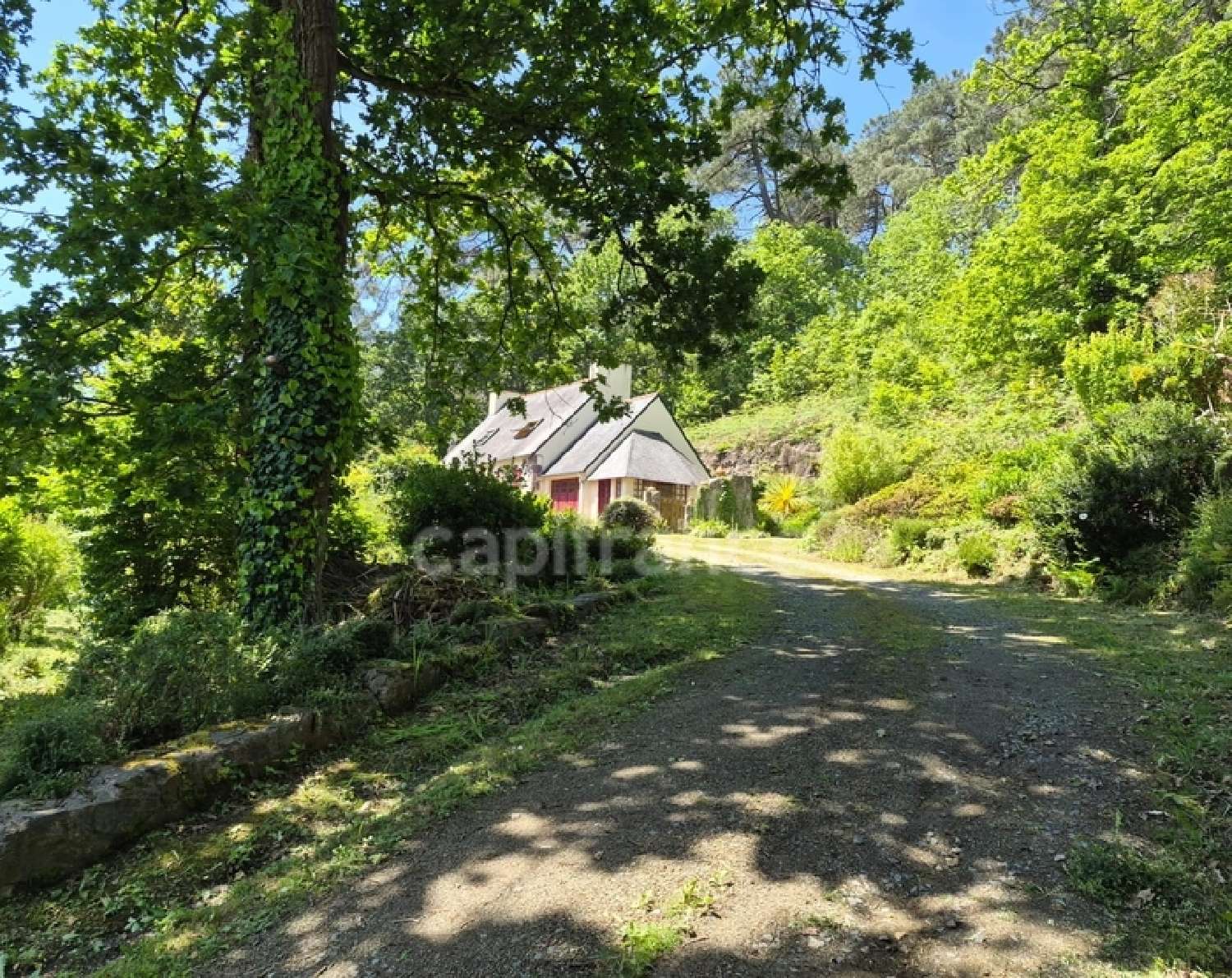 à vendre maison Plourivo Côtes-d'Armor 8