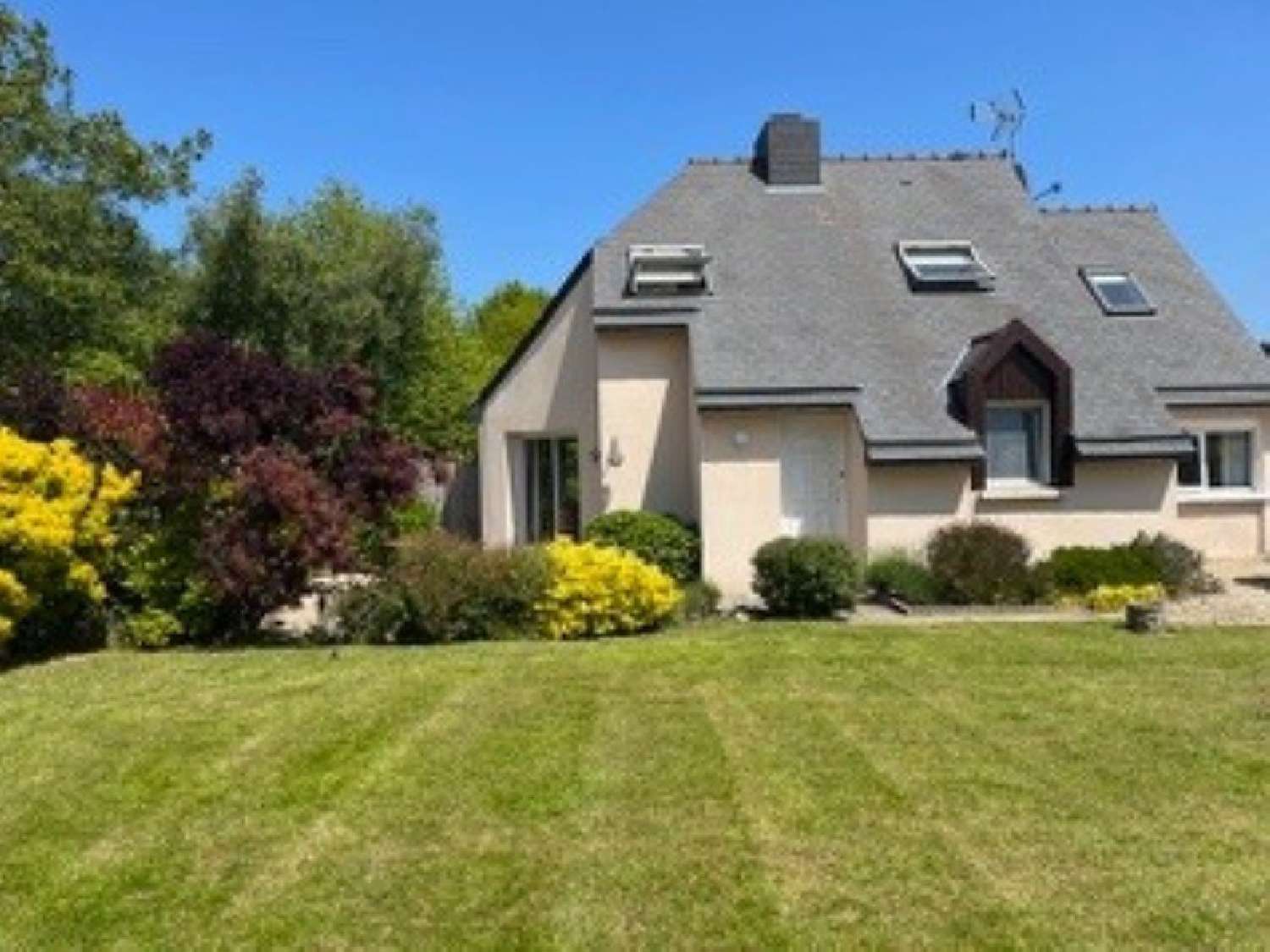  te koop huis Pludual Côtes-d'Armor 1