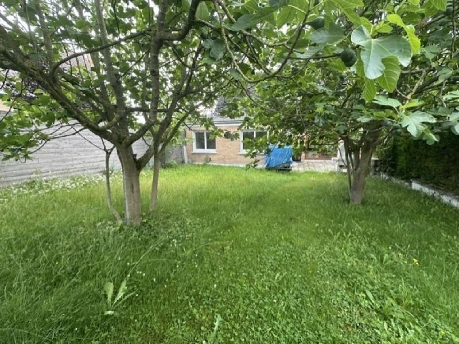  te koop huis Prouvy Nord 8