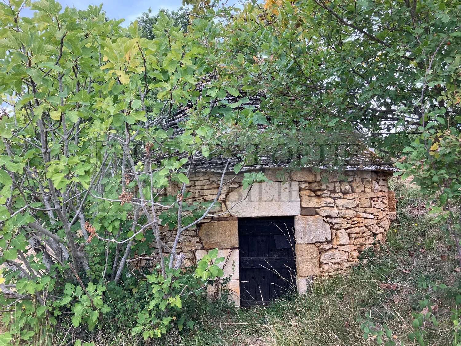 te koop huis Puy-l'Évêque Lot 6