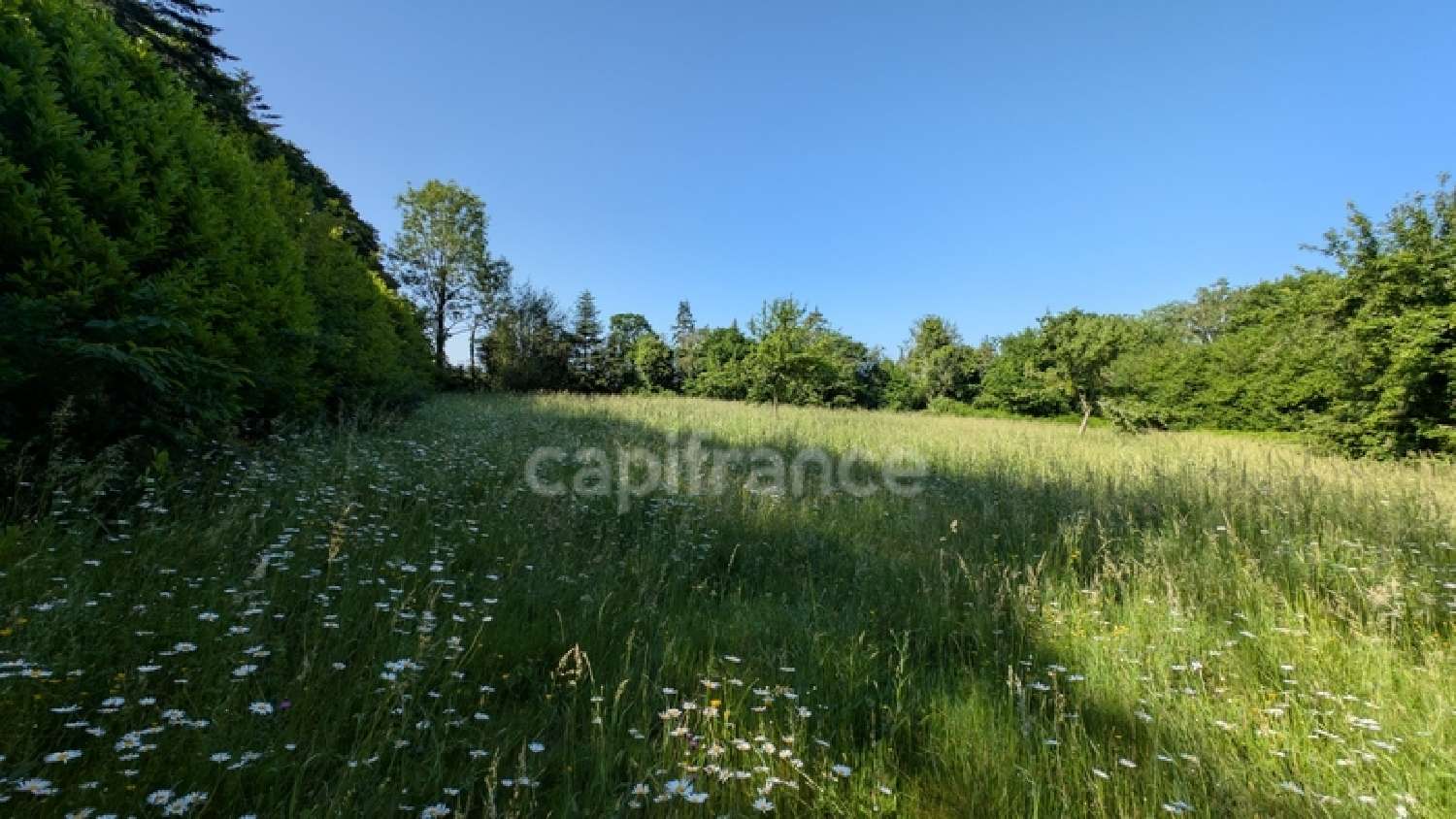  for sale house Rânes Orne 2