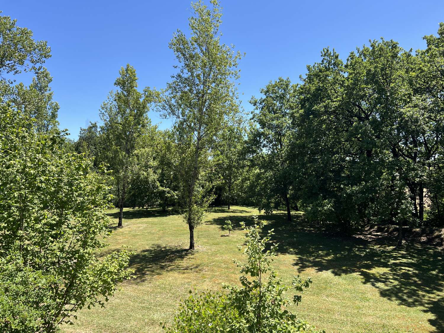 à vendre maison Réalmont Tarn 7