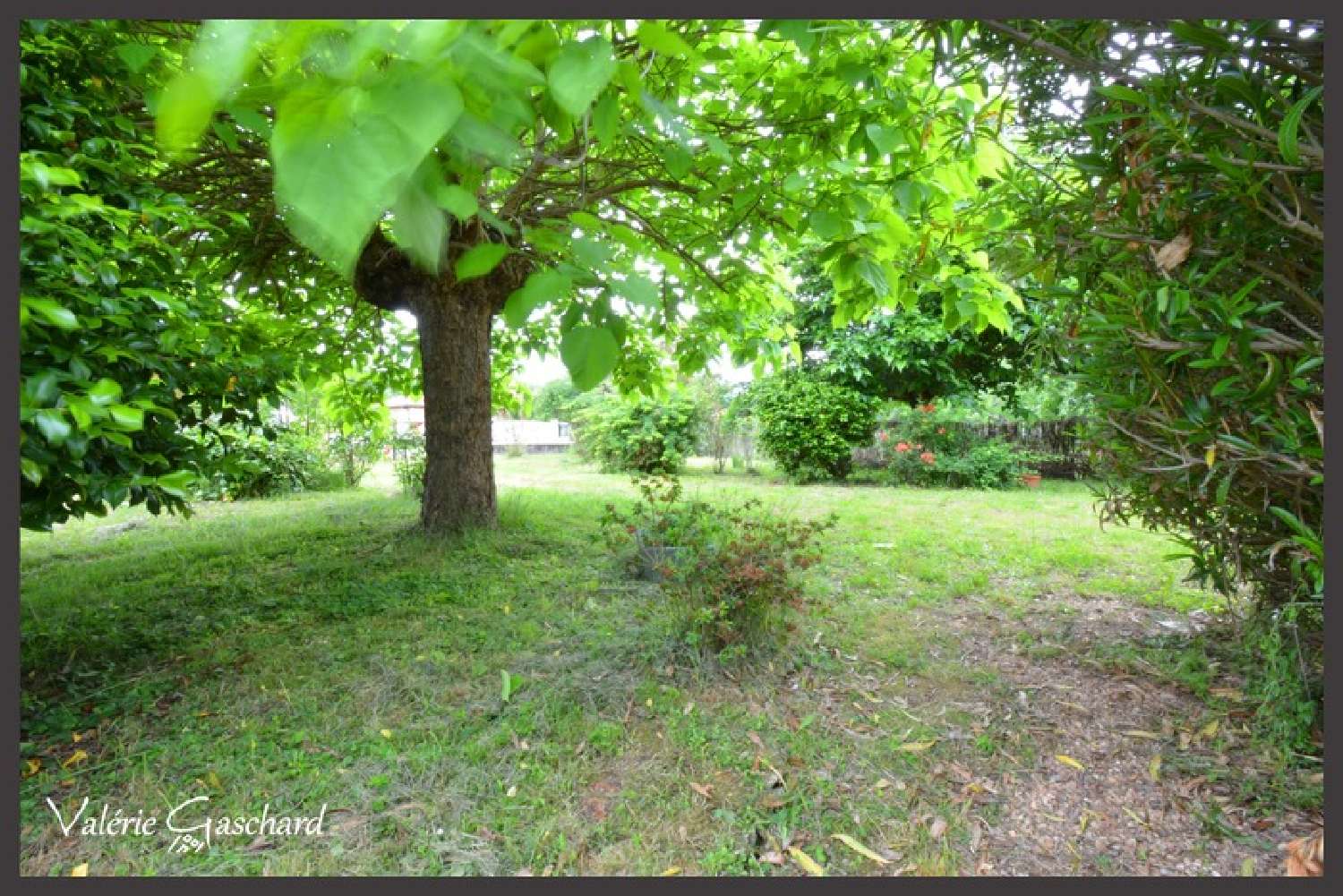  for sale house Riocaud Gironde 4