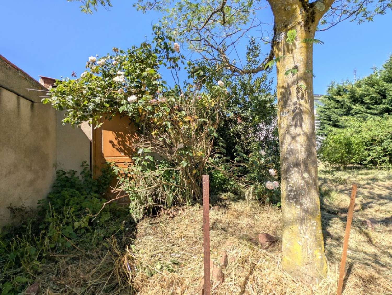 for sale house Riorges Loire 6