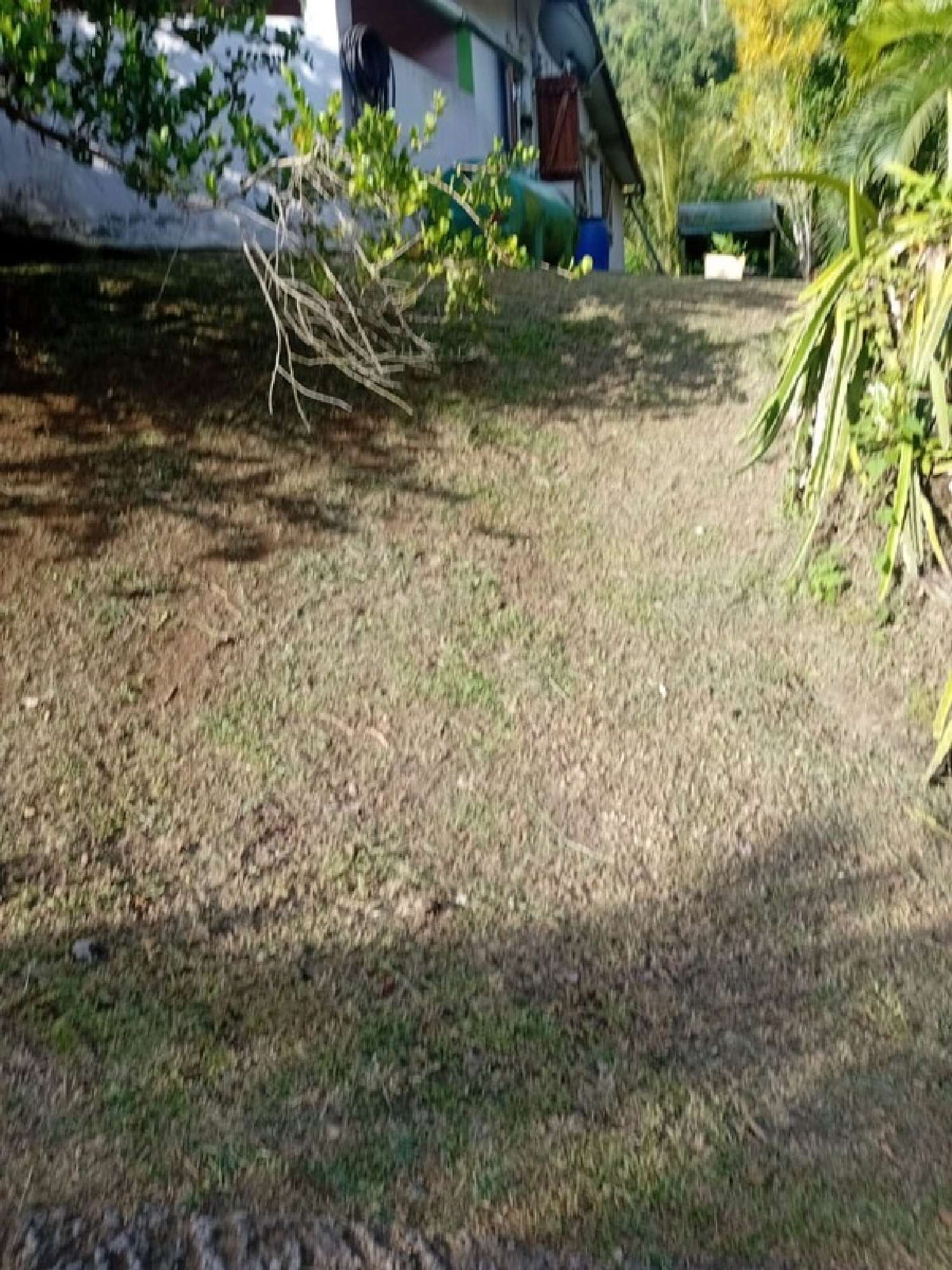 te koop huis Rivière-Pilote Martinique 2
