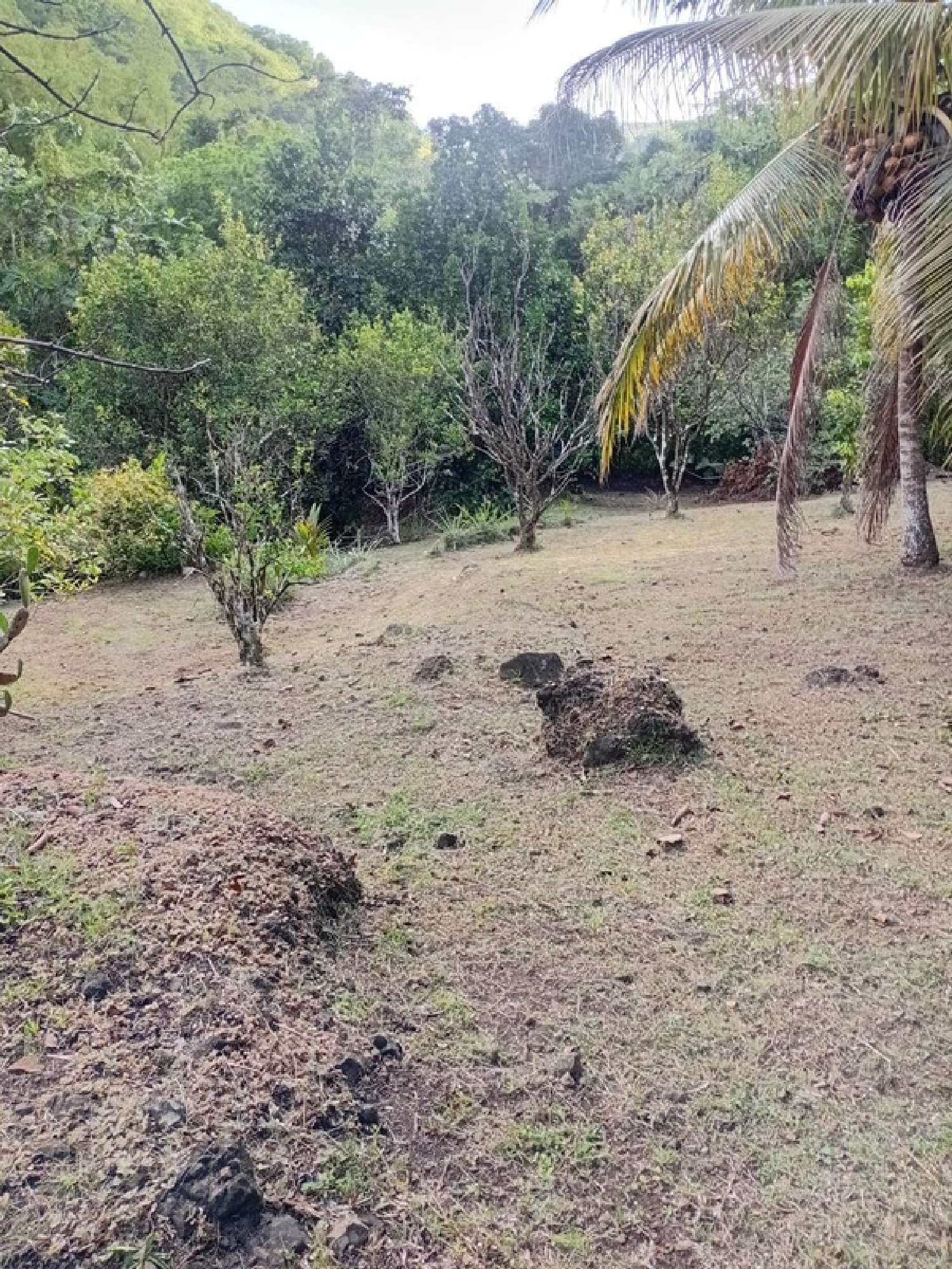 te koop huis Rivière-Pilote Martinique 3