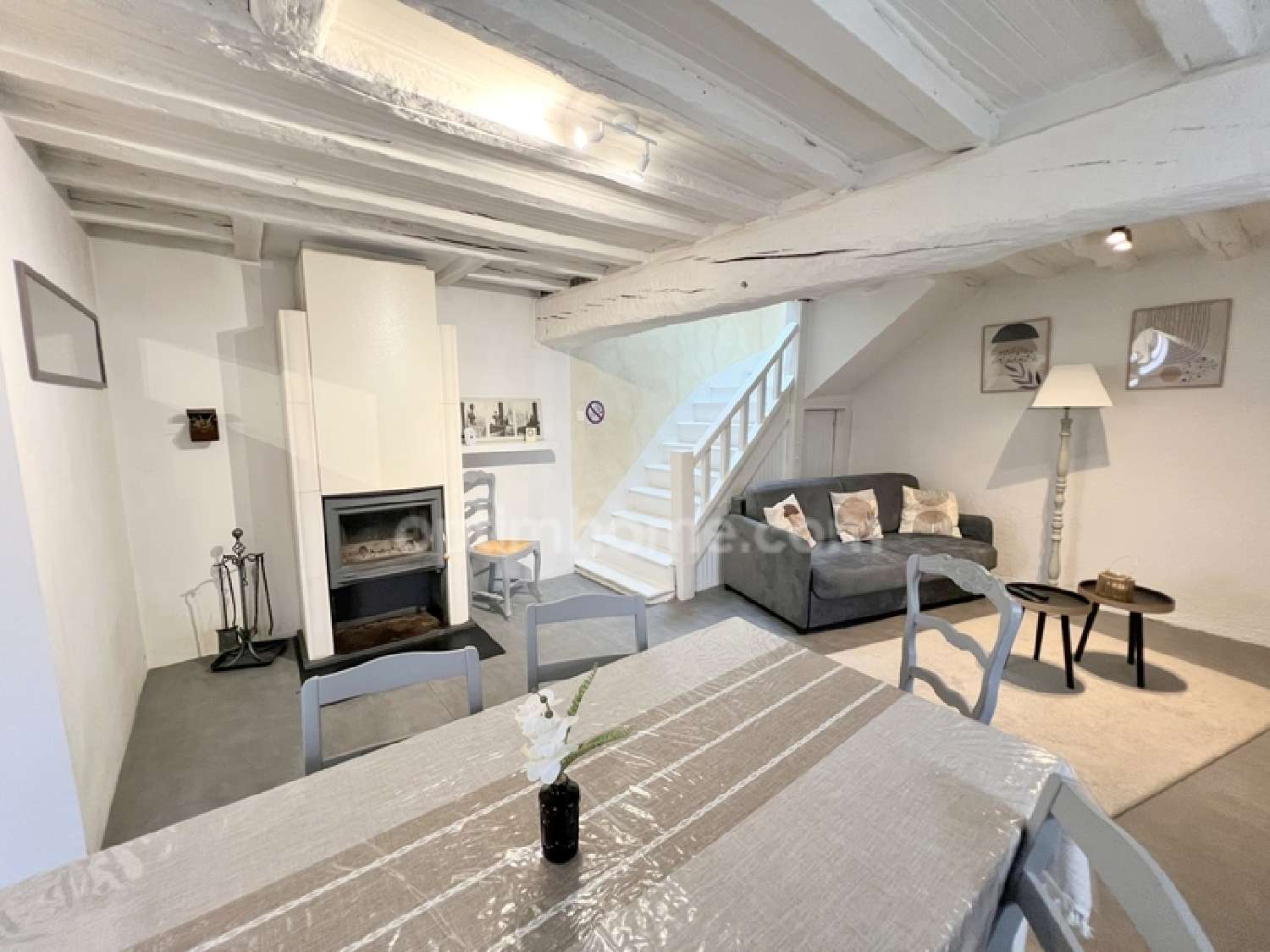  à vendre maison Romorantin-Lanthenay Loir-et-Cher 2