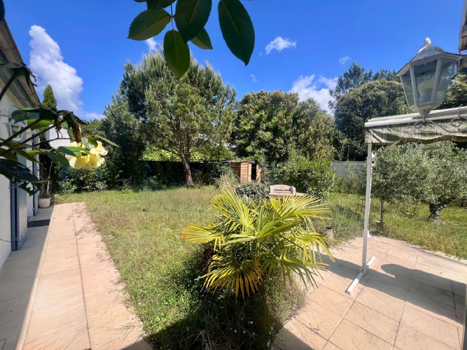 for sale house Ronce-les-Bains Charente-Maritime 3