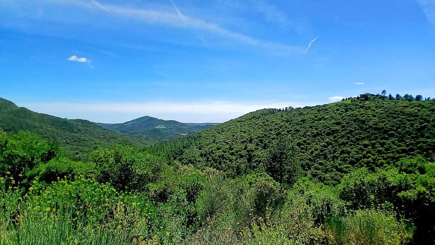  à vendre maison Roquebrun Hérault 7