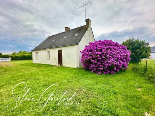 Saint-Dolay Morbihan Haus Bild 7354452
