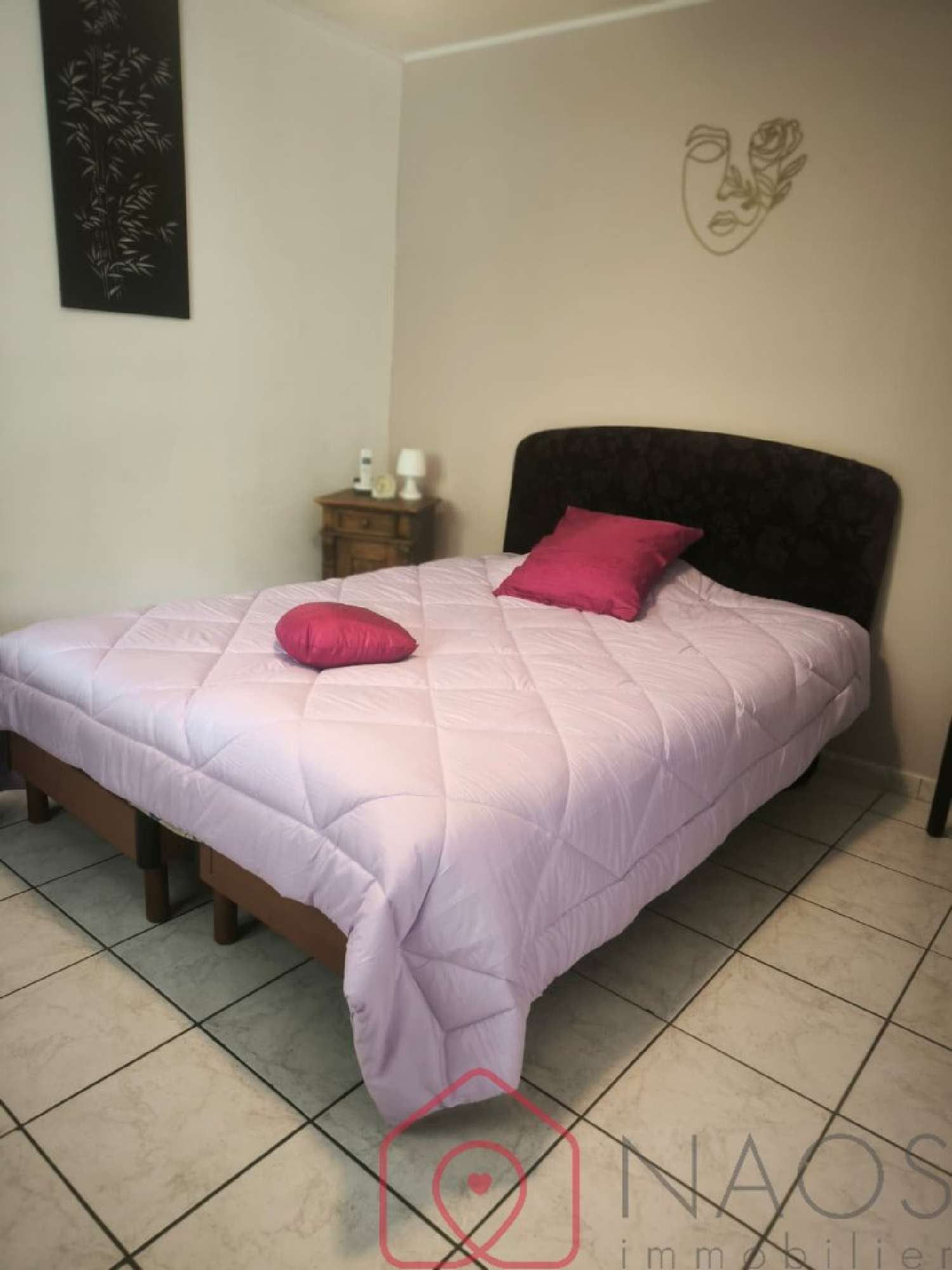  à vendre maison Saint-Estève Pyrénées-Orientales 3