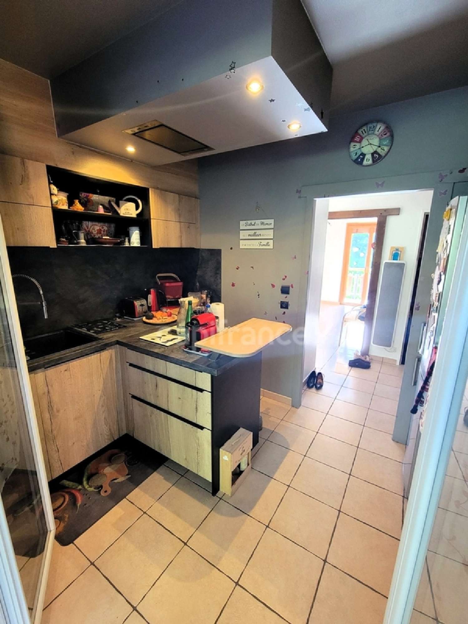 te koop huis Saint-Félix Haute-Savoie 8