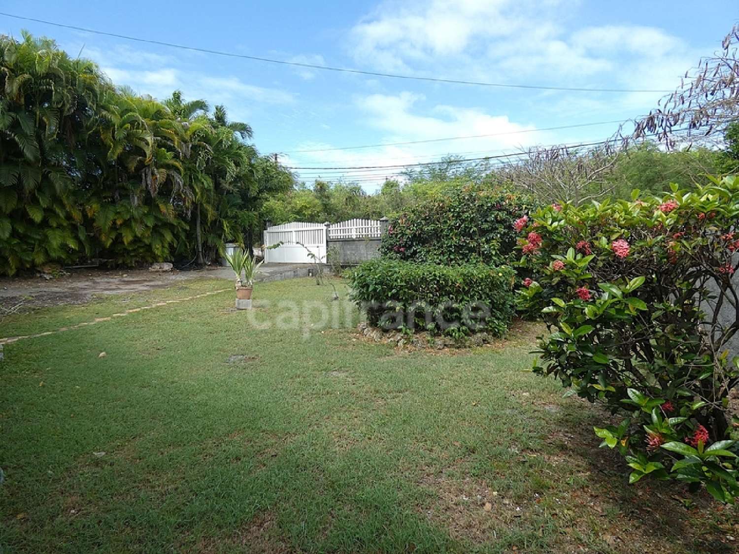 te koop huis Saint-François Guadeloupe 5