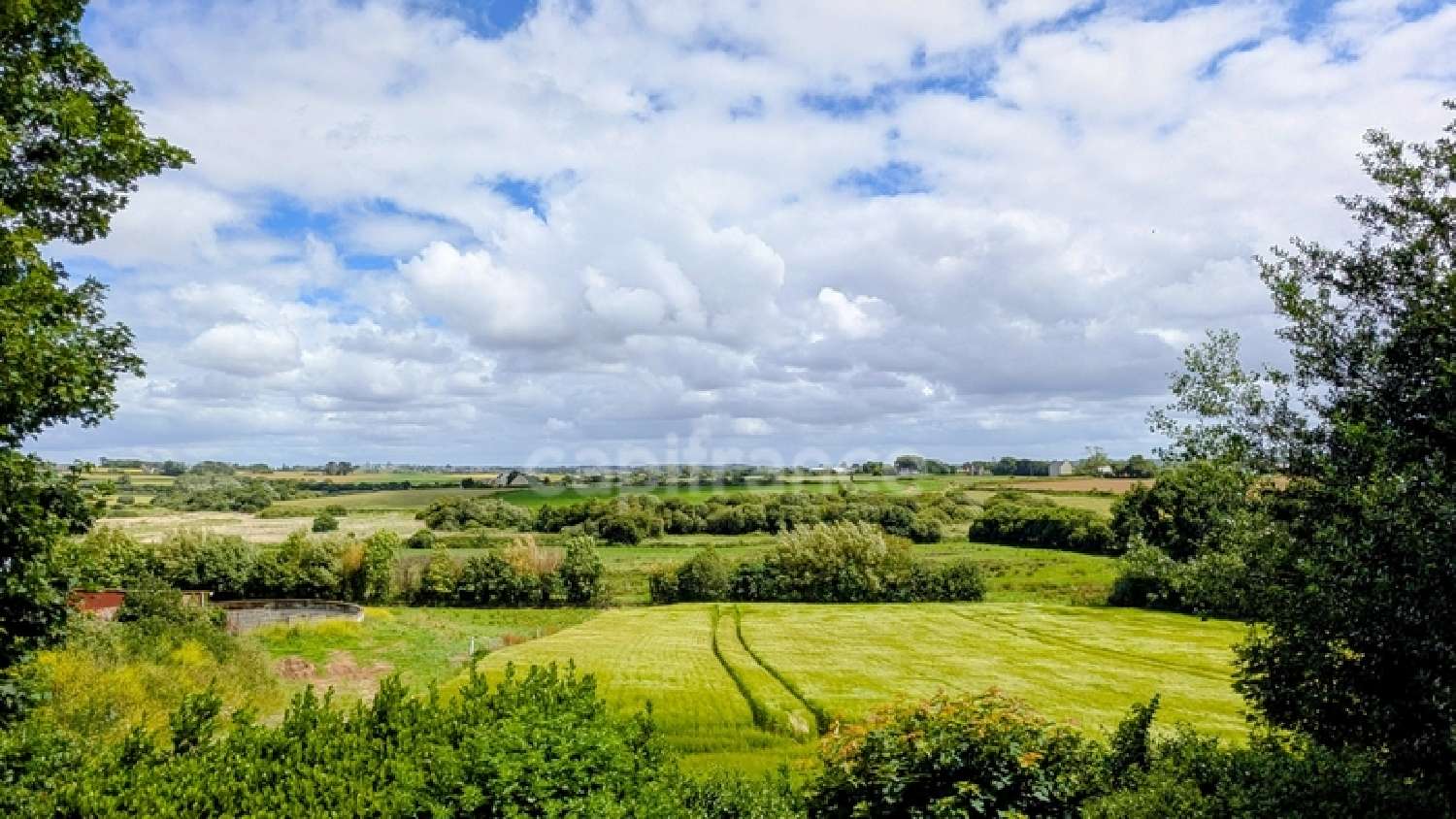 for sale house Saint-Frégant Finistère 5