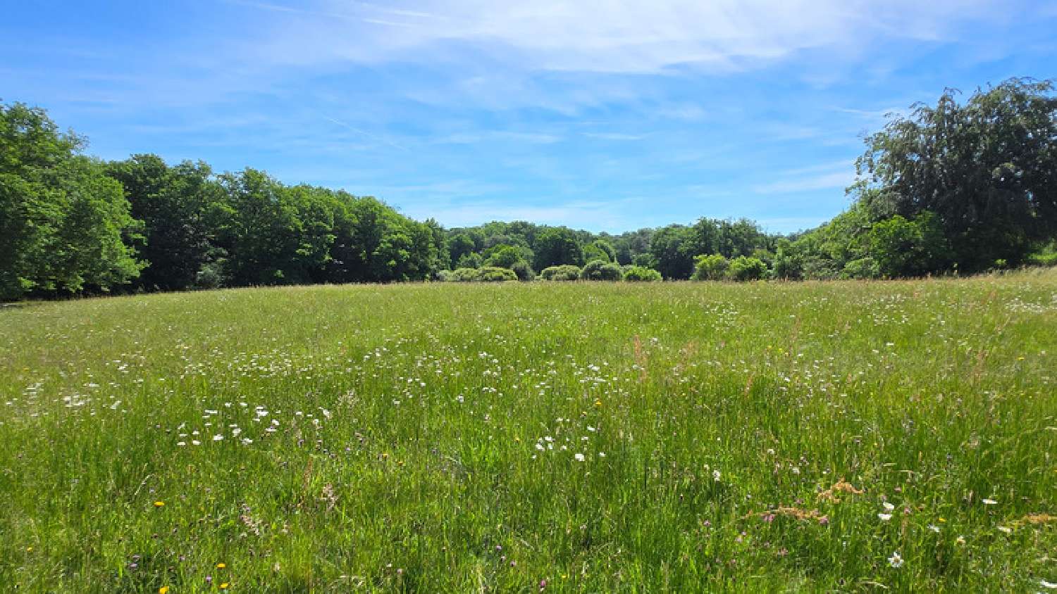 en venta casa Saint-Gence Haute-Vienne 3