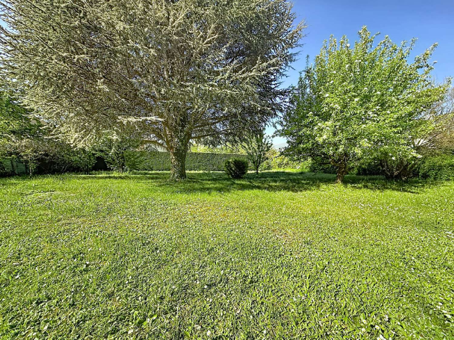 for sale house Saint-Genis-Pouilly Ain 4