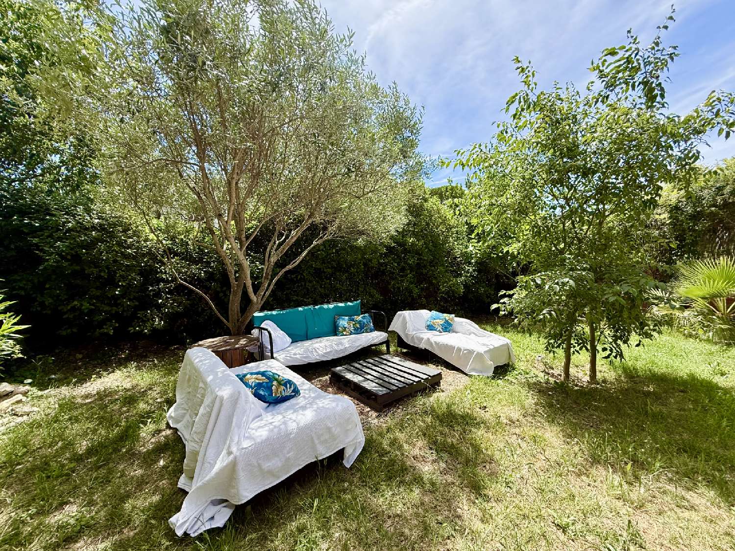  for sale house Saint-Georges-d'Orques Hérault 2