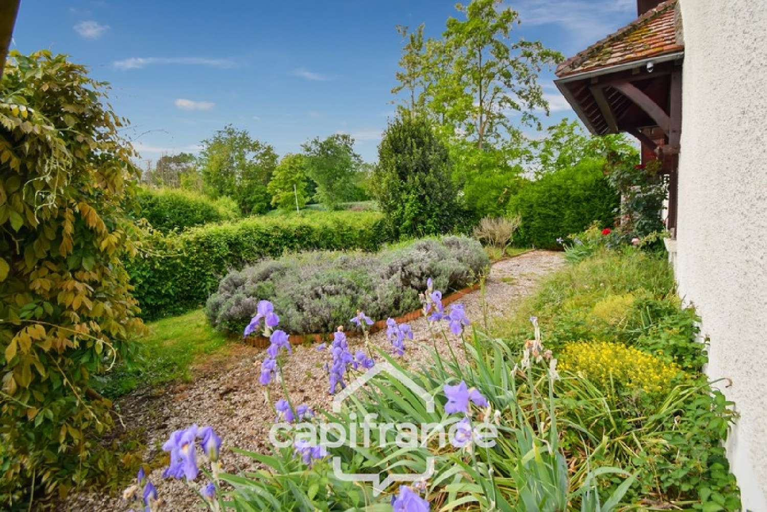  à vendre maison Saint-Germain-du-Bois Saône-et-Loire 6