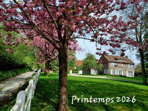 Saint-Germain-d'Elle Manche huis foto 7350164