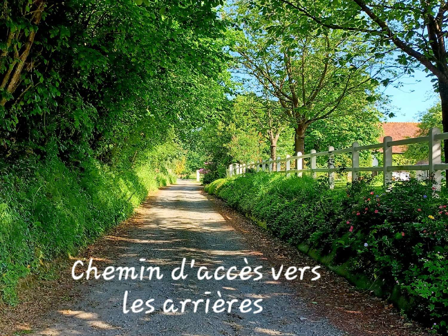  te koop huis Saint-Germain-d'Elle Manche 3
