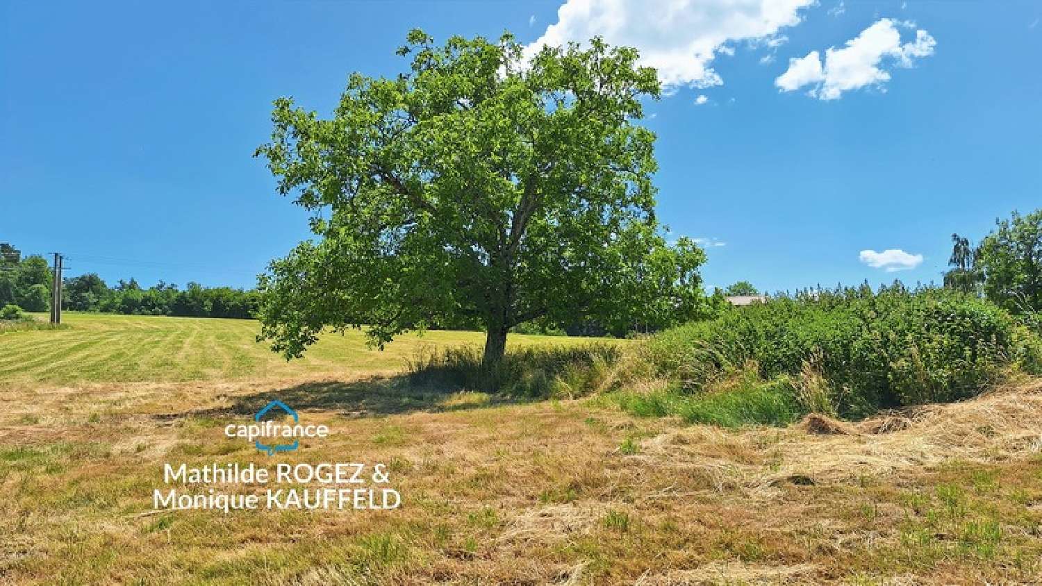  for sale house Saint-Gervais-sous-Meymont Puy-de-Dôme 3