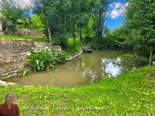 Saint-Hilaire-la-Palud Deux-Sèvres Haus Bild 7360799
