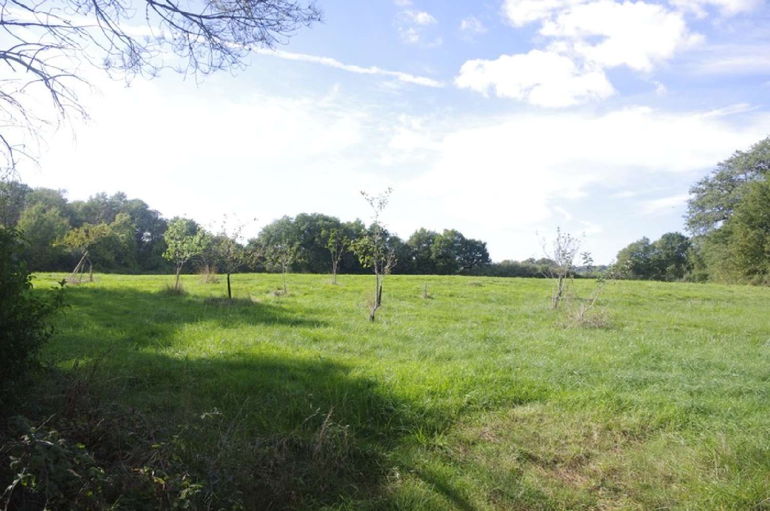 for sale house Saint-Jean-Poutge Gers 7