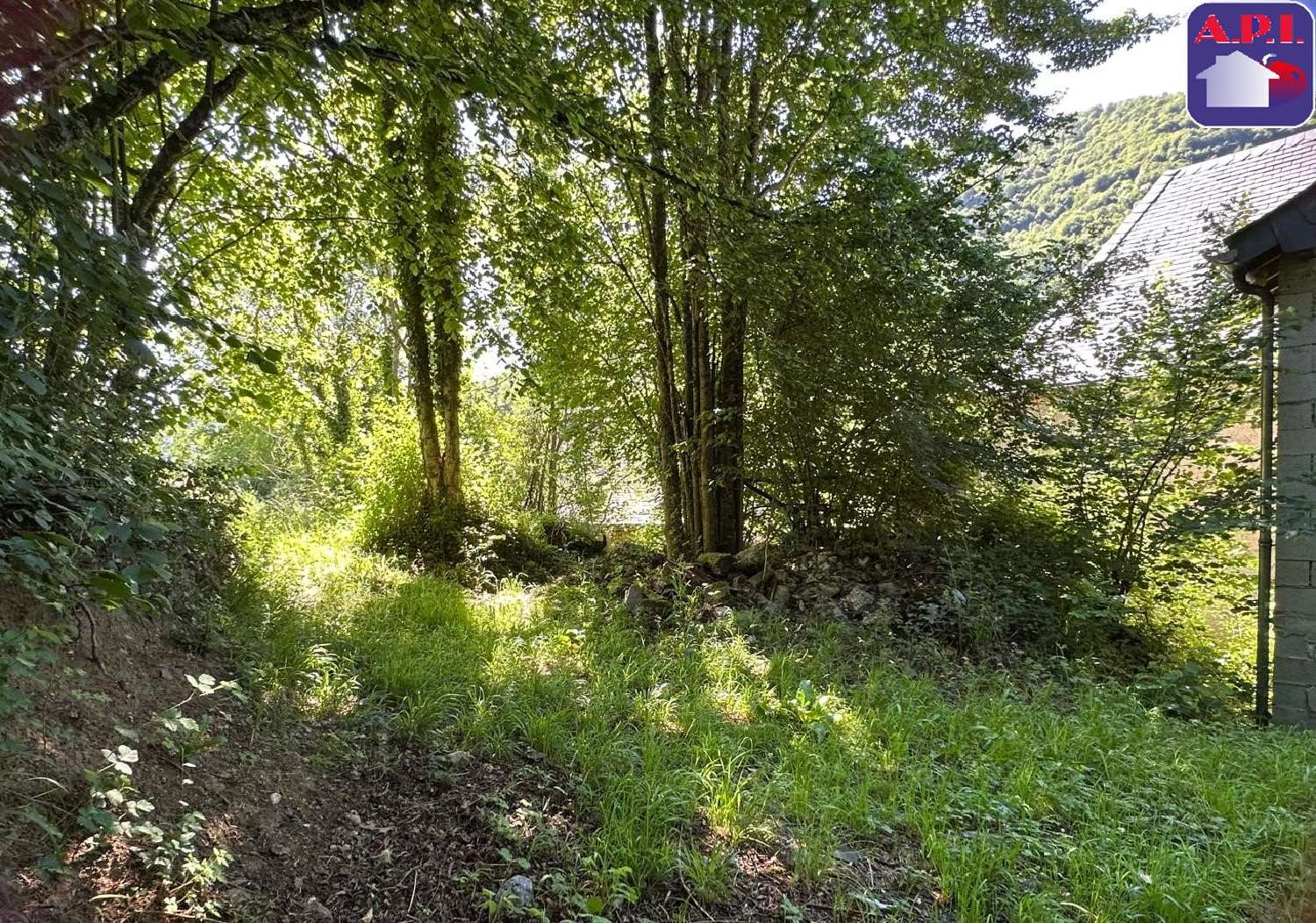 te koop huis Saint-Lary Ariège 6
