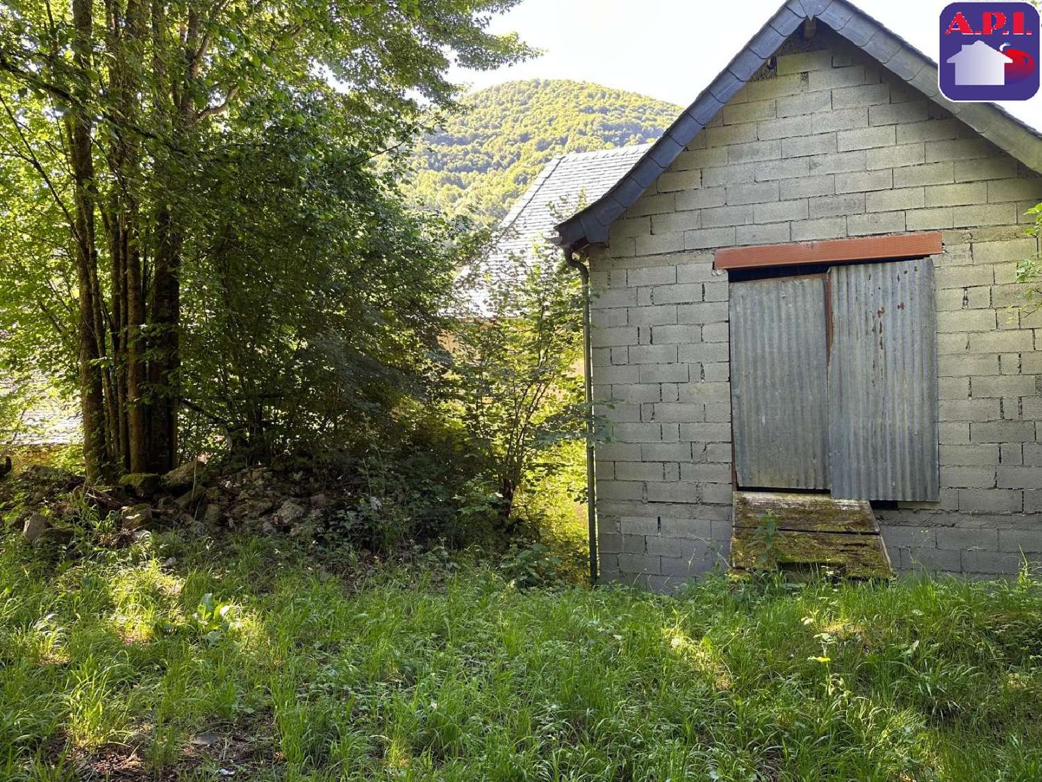 te koop huis Saint-Lary Ariège 7