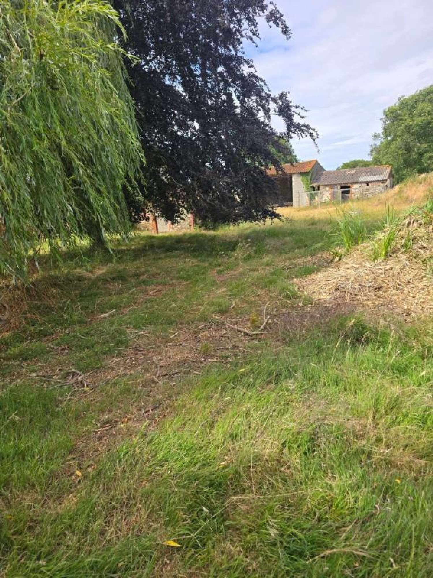  à vendre maison Saint-Macaire-du-Bois Maine-et-Loire 1