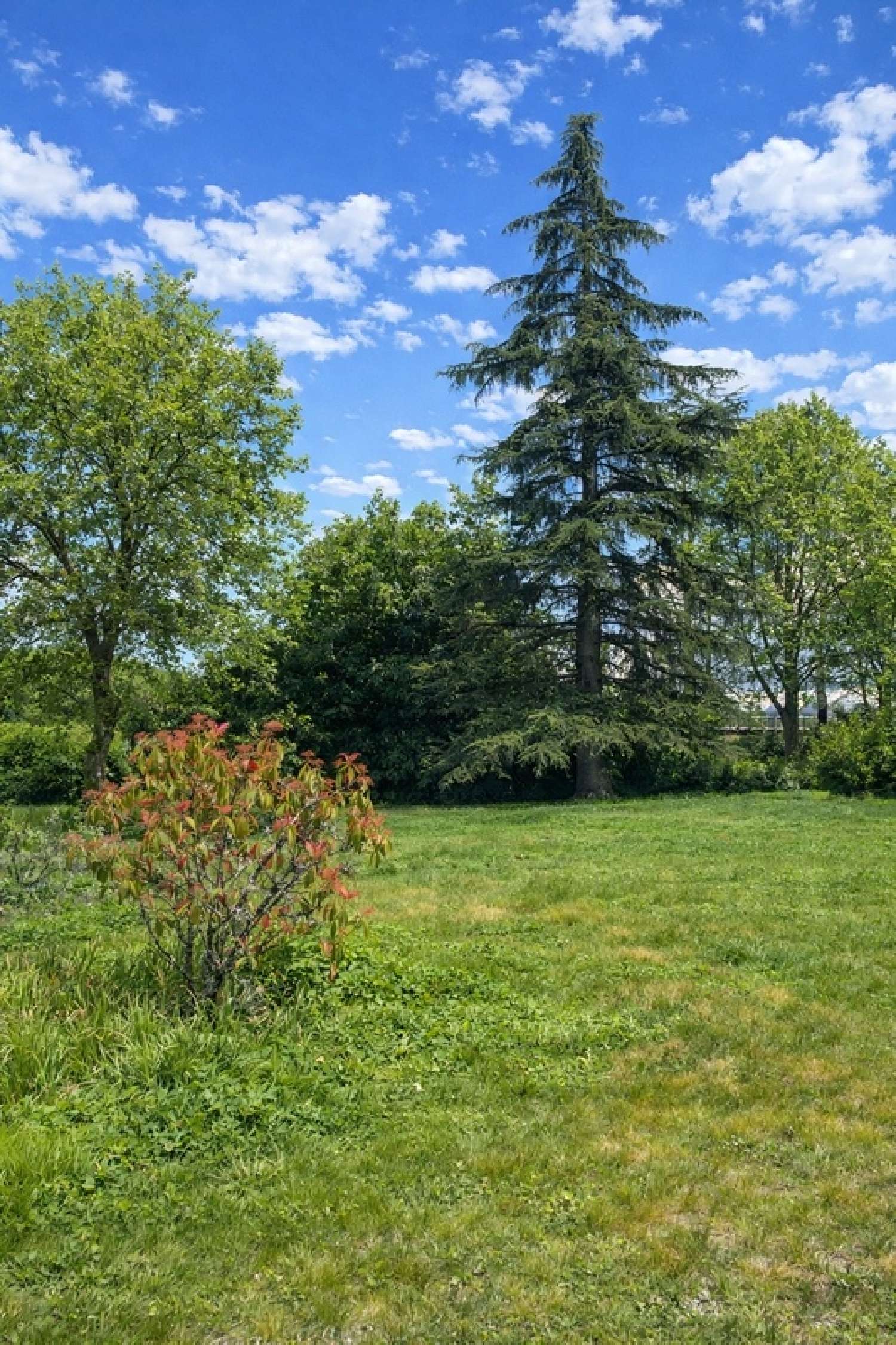  en venta casa Saint-Médard-d'Eyrans Gironde 6