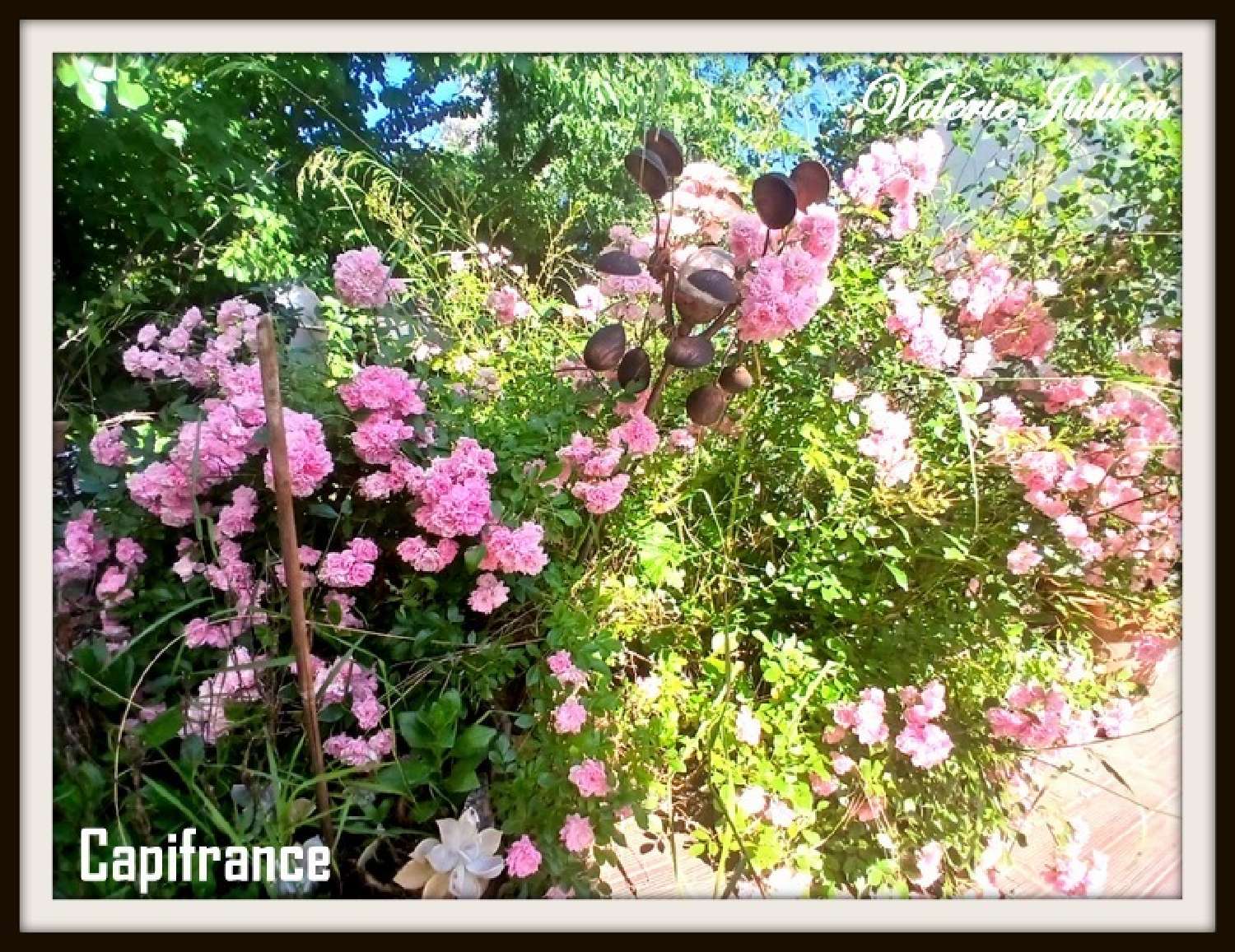  for sale house Saint-Pargoire Hérault 4