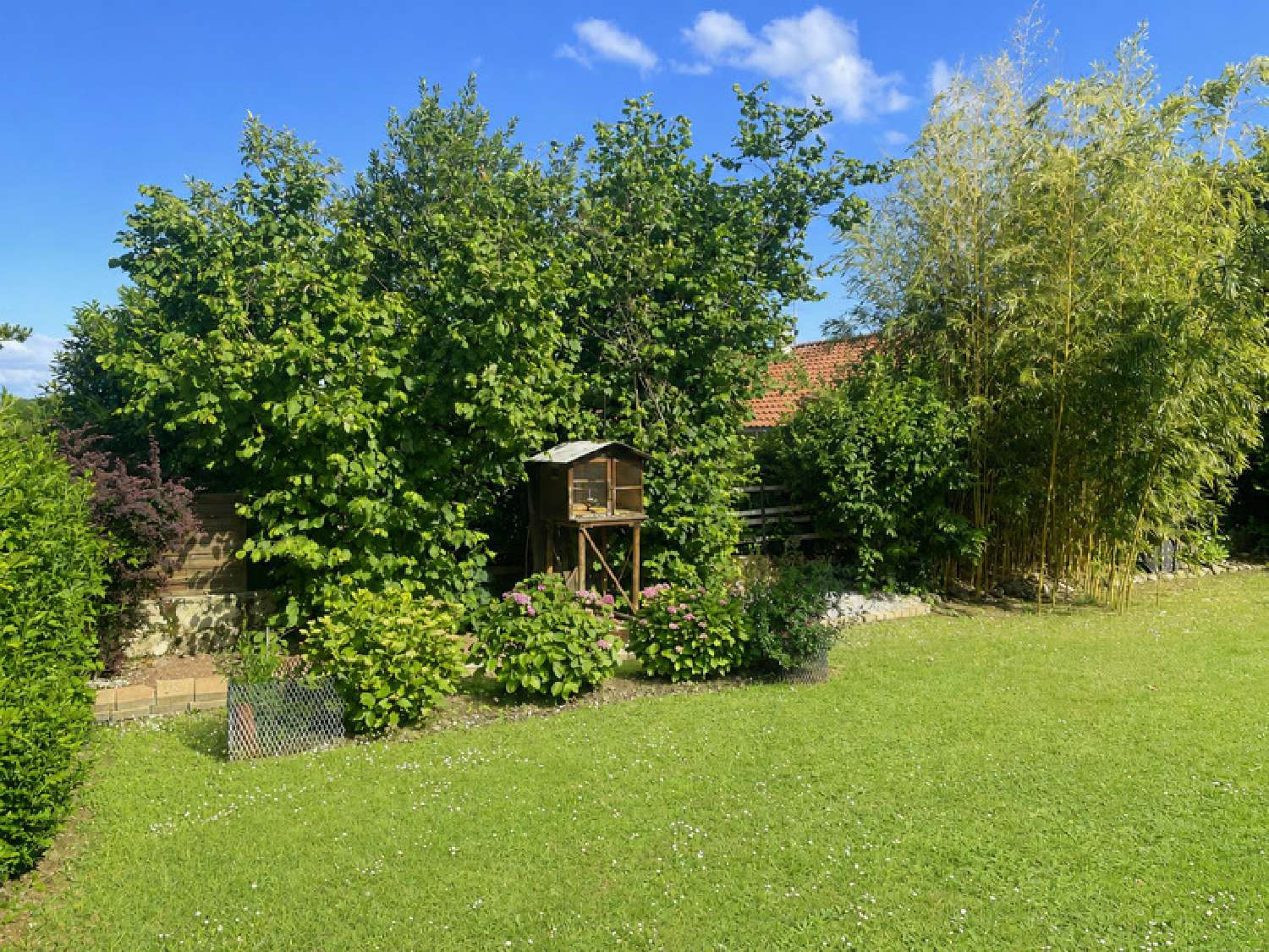 for sale house Saint-Paul-de-Varax Ain 5