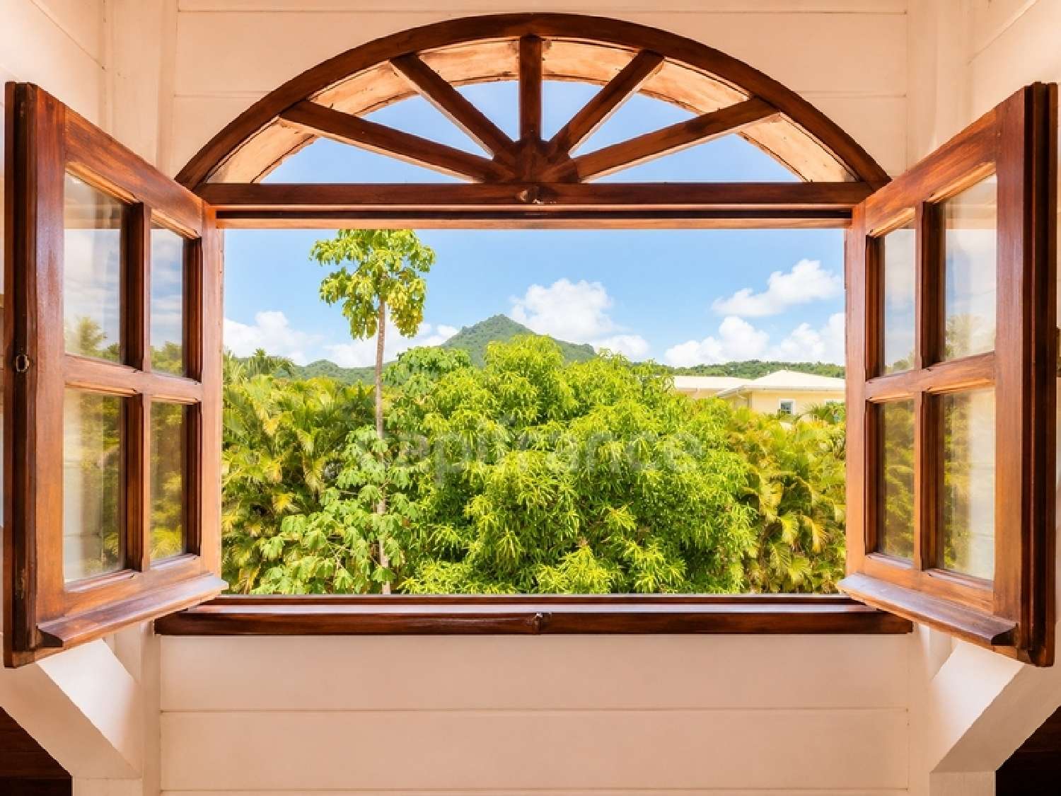  à vendre maison Saint-Pierre Martinique 6