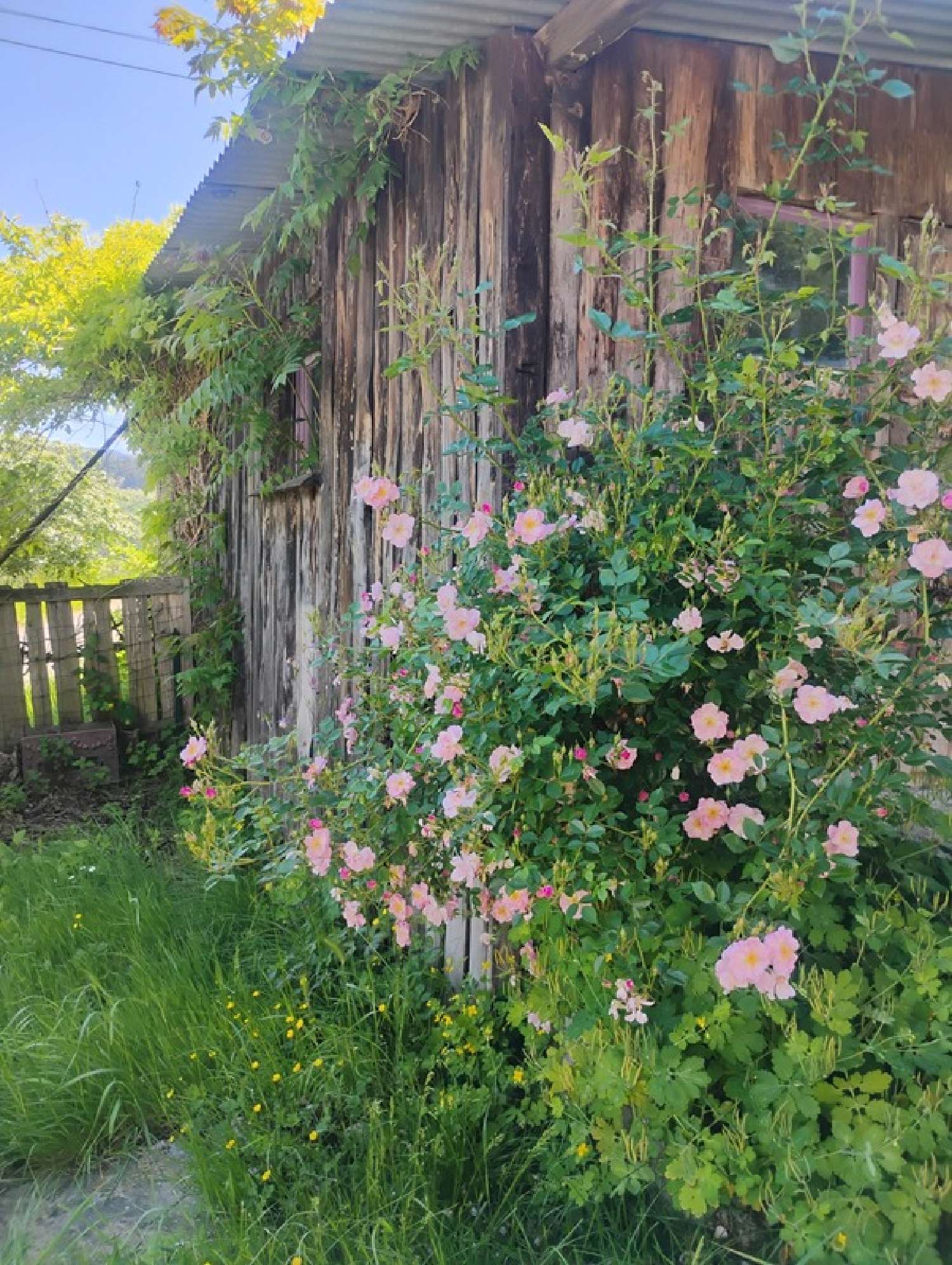  for sale house Saint-Pierre-le-Vieux Saône-et-Loire 3