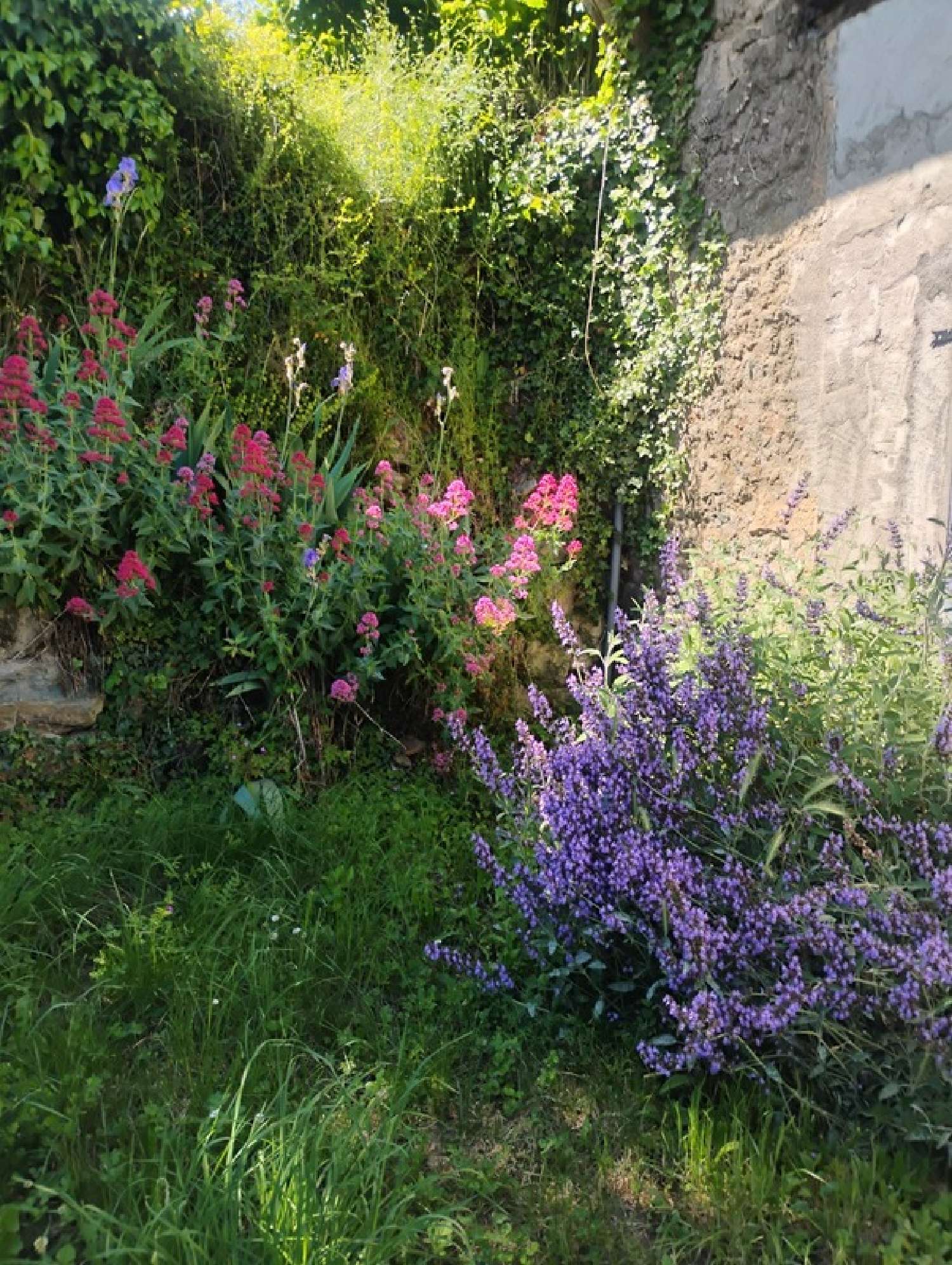  for sale house Saint-Pierre-le-Vieux Saône-et-Loire 4