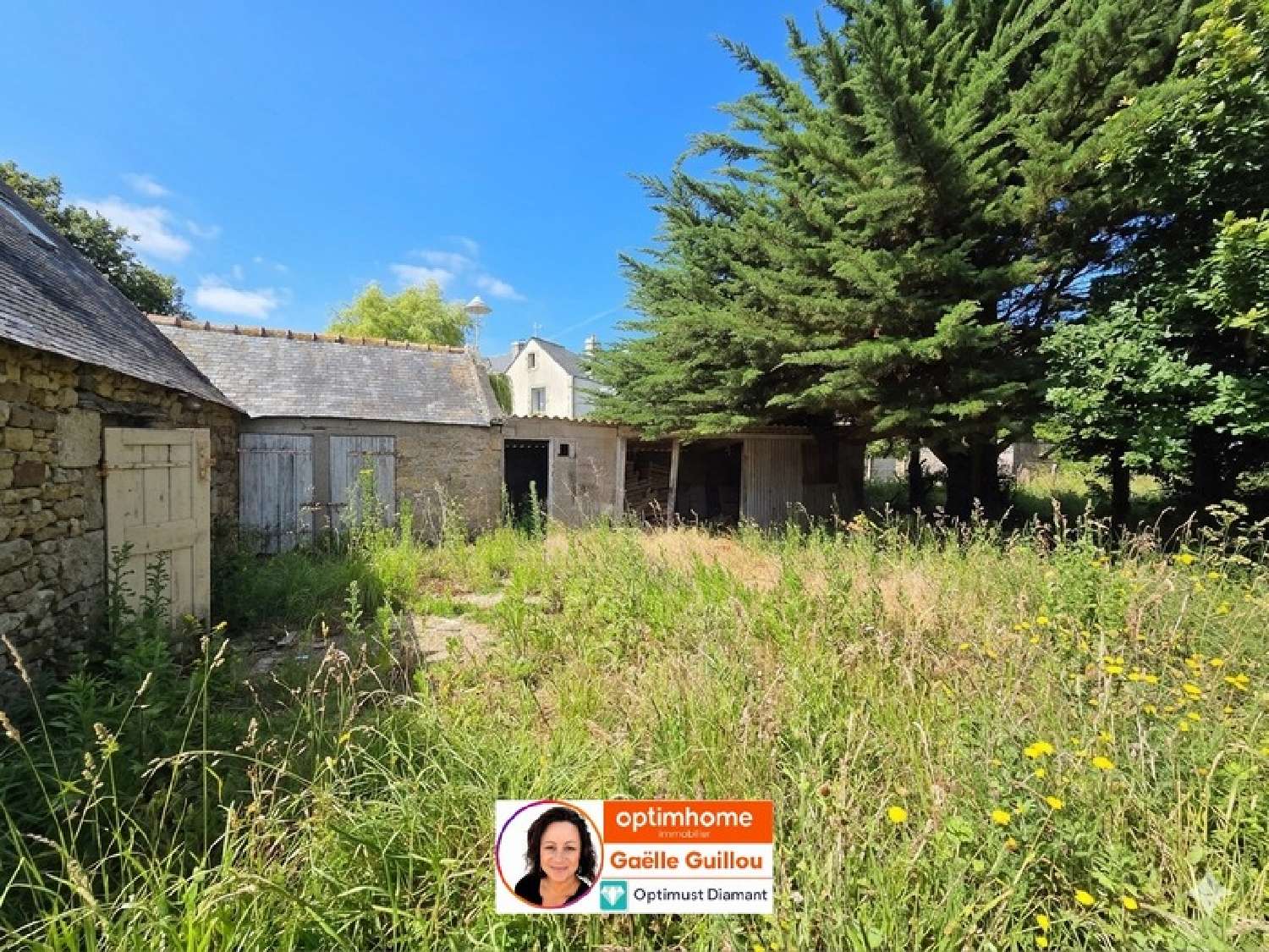  à vendre maison Saint-Pol-de-Léon Finistère 8