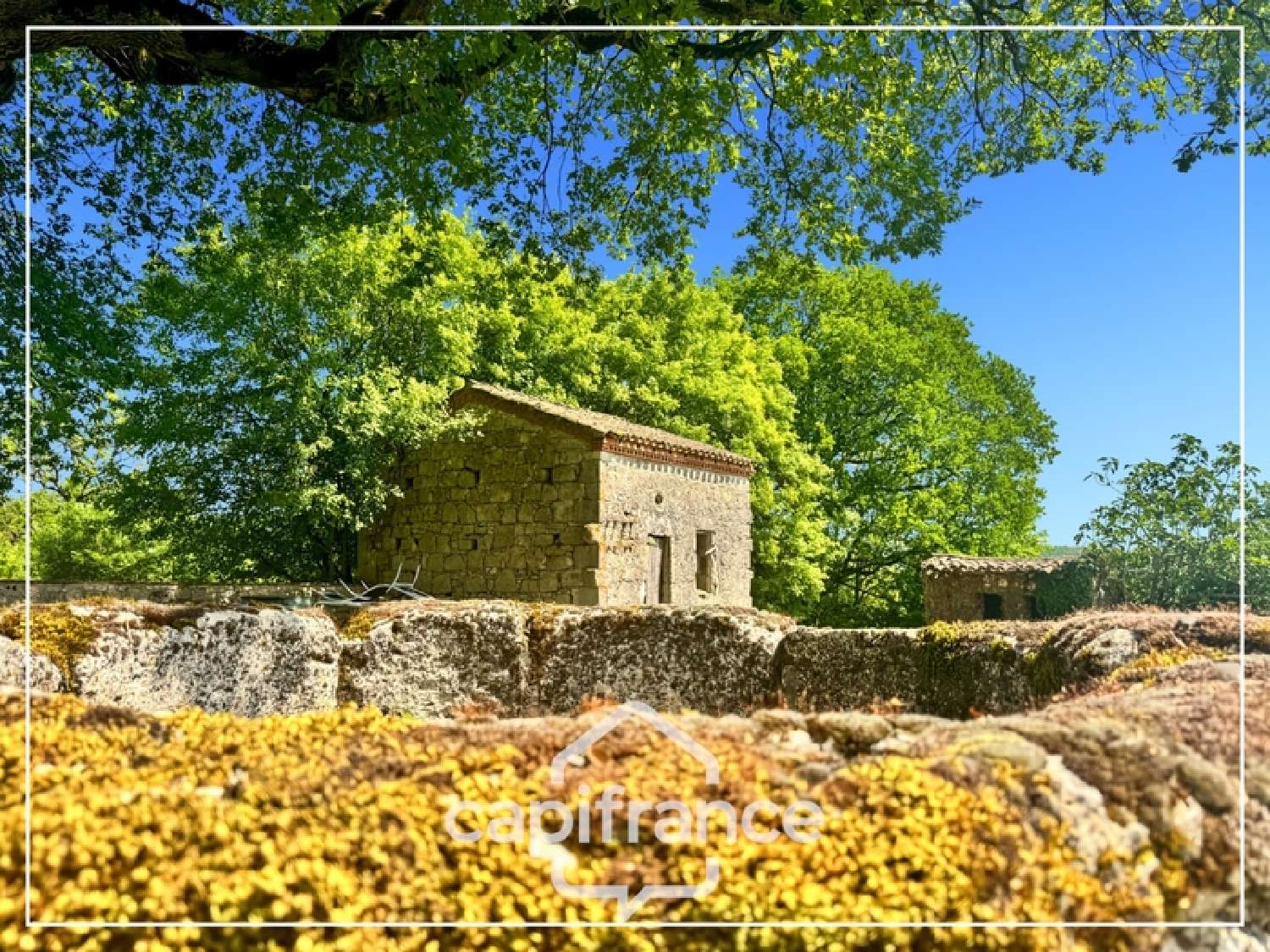  à vendre maison Saint-Robert Lot-et-Garonne 5