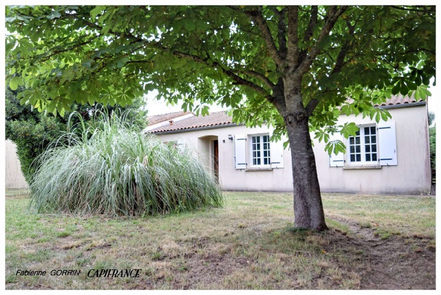for sale house Saint-Sulpice-d'Arnoult Charente-Maritime 1