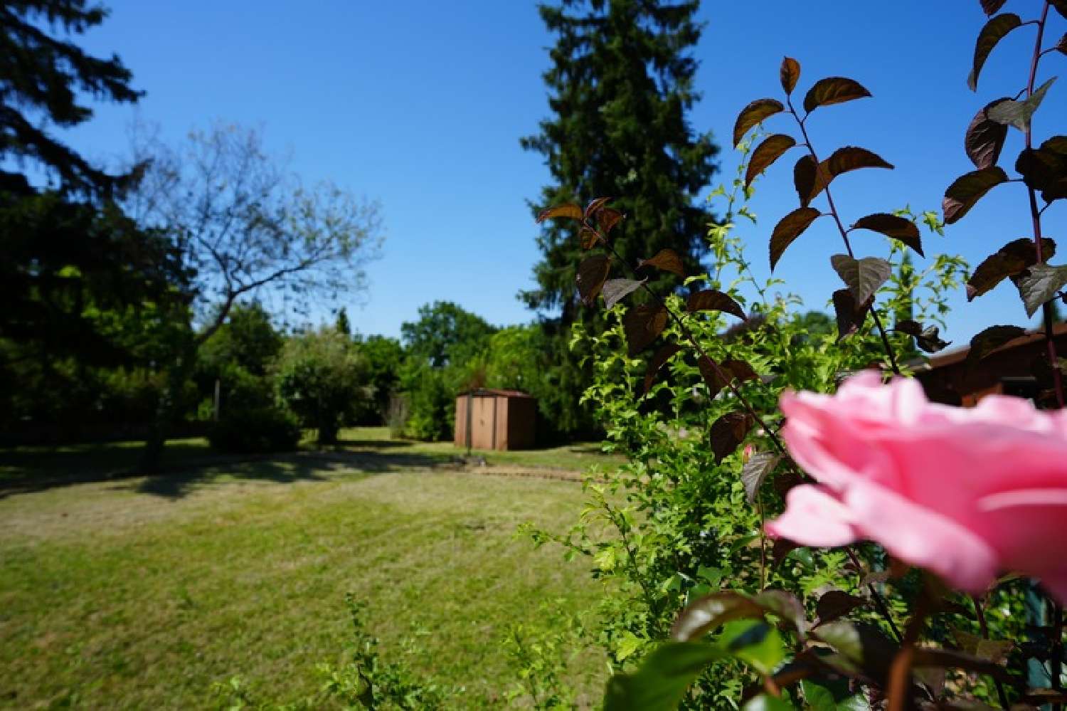 à vendre maison Sainte-Livrade-sur-Lot Lot-et-Garonne 2