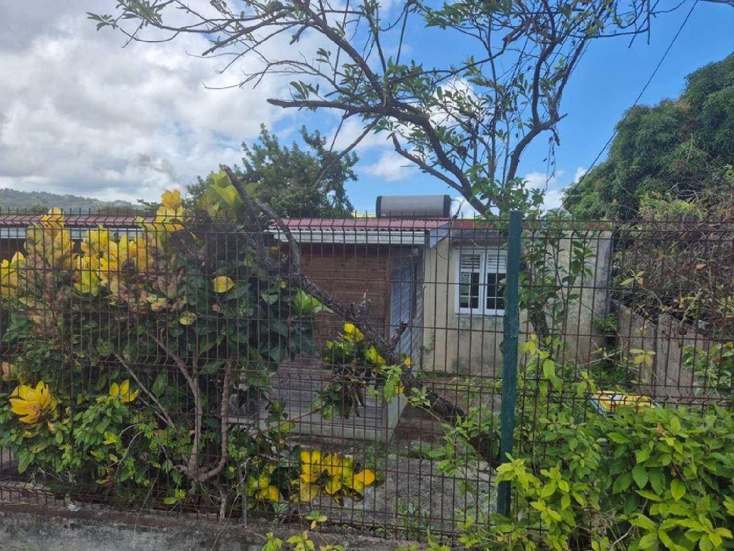  à vendre maison Sainte-Marie Martinique 3
