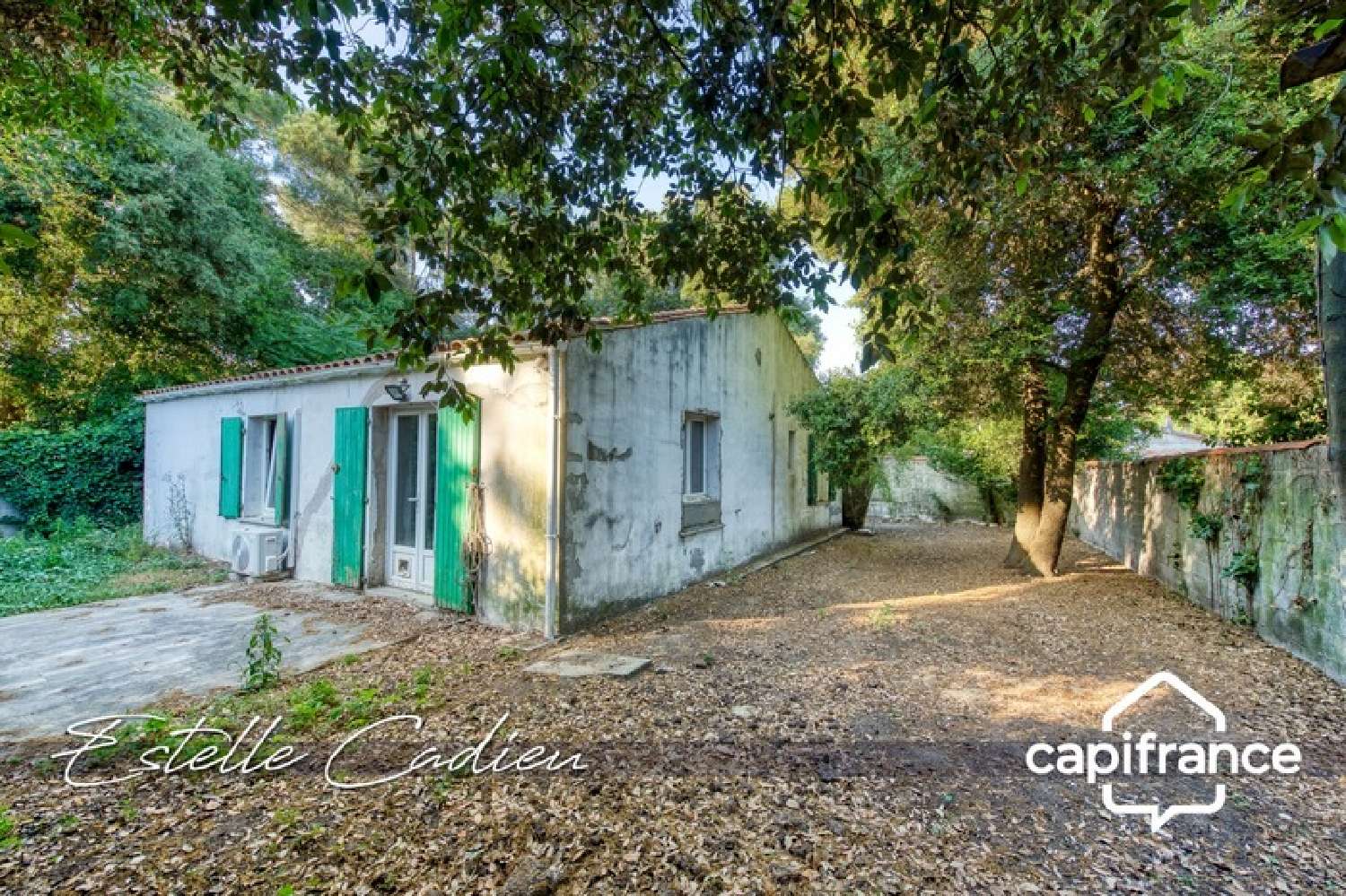 for sale house Sainte-Marie-de-Ré Charente-Maritime 1