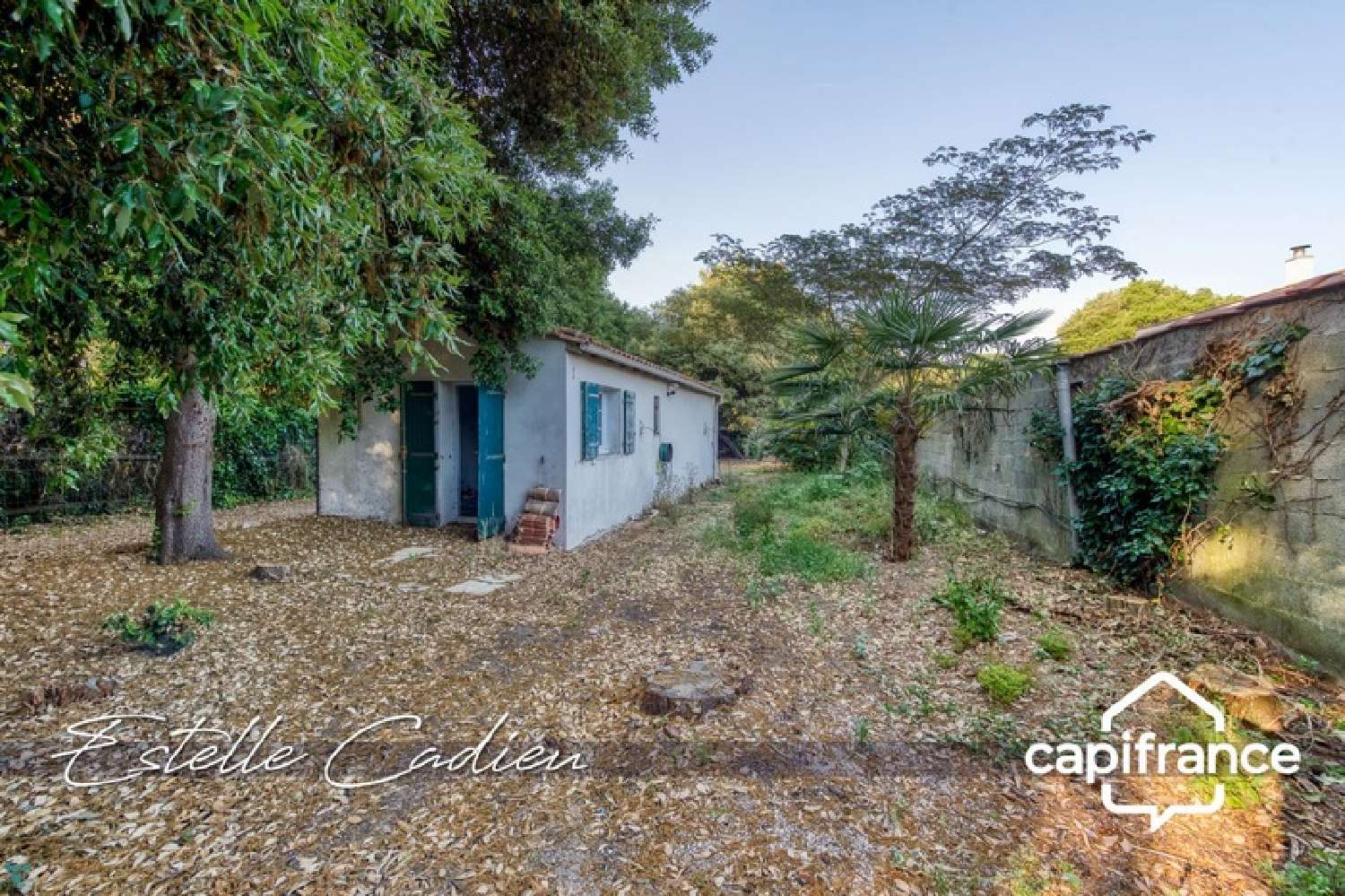 for sale house Sainte-Marie-de-Ré Charente-Maritime 5